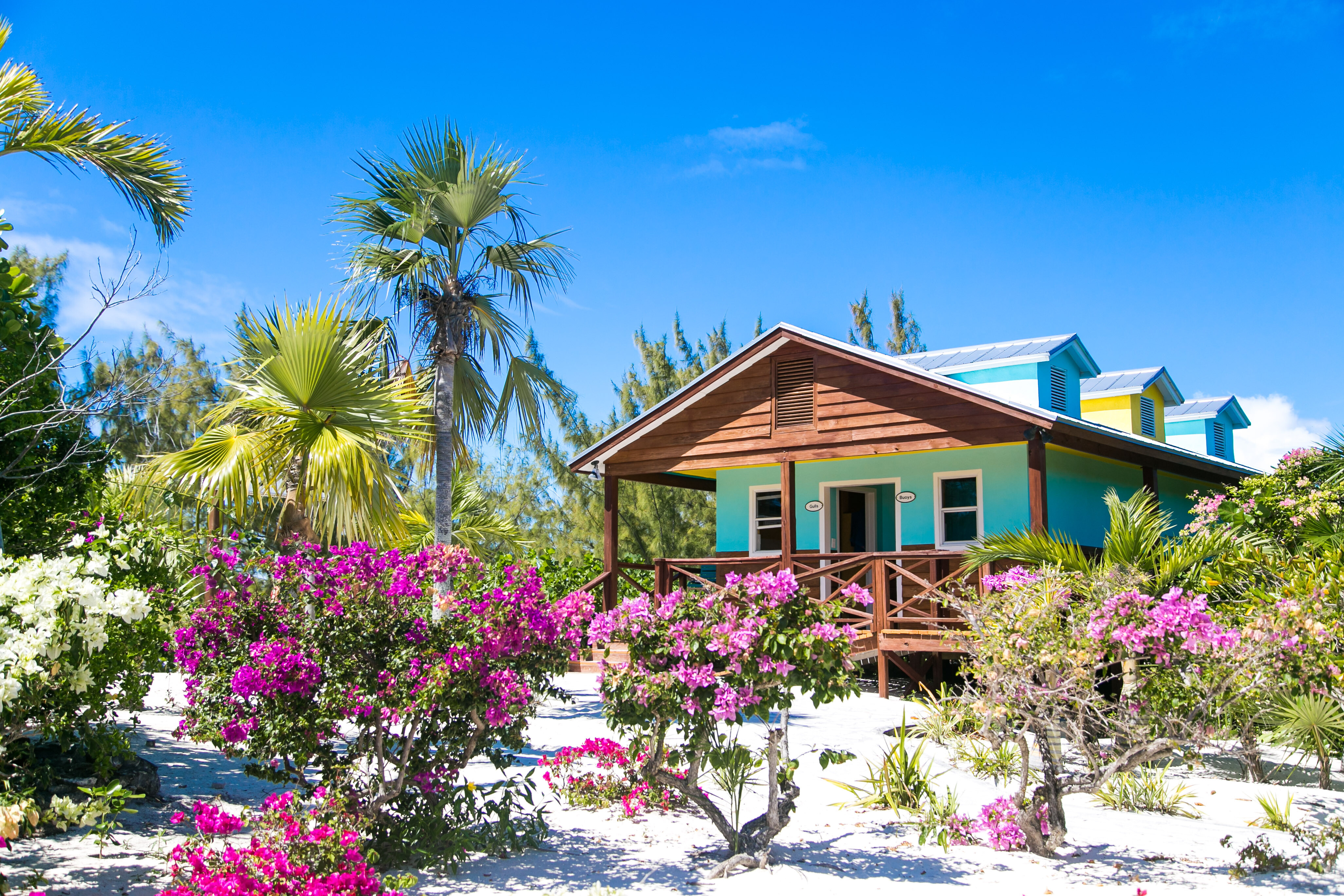 AdobeStock_331026029-F6ZWFpgT.jpeg