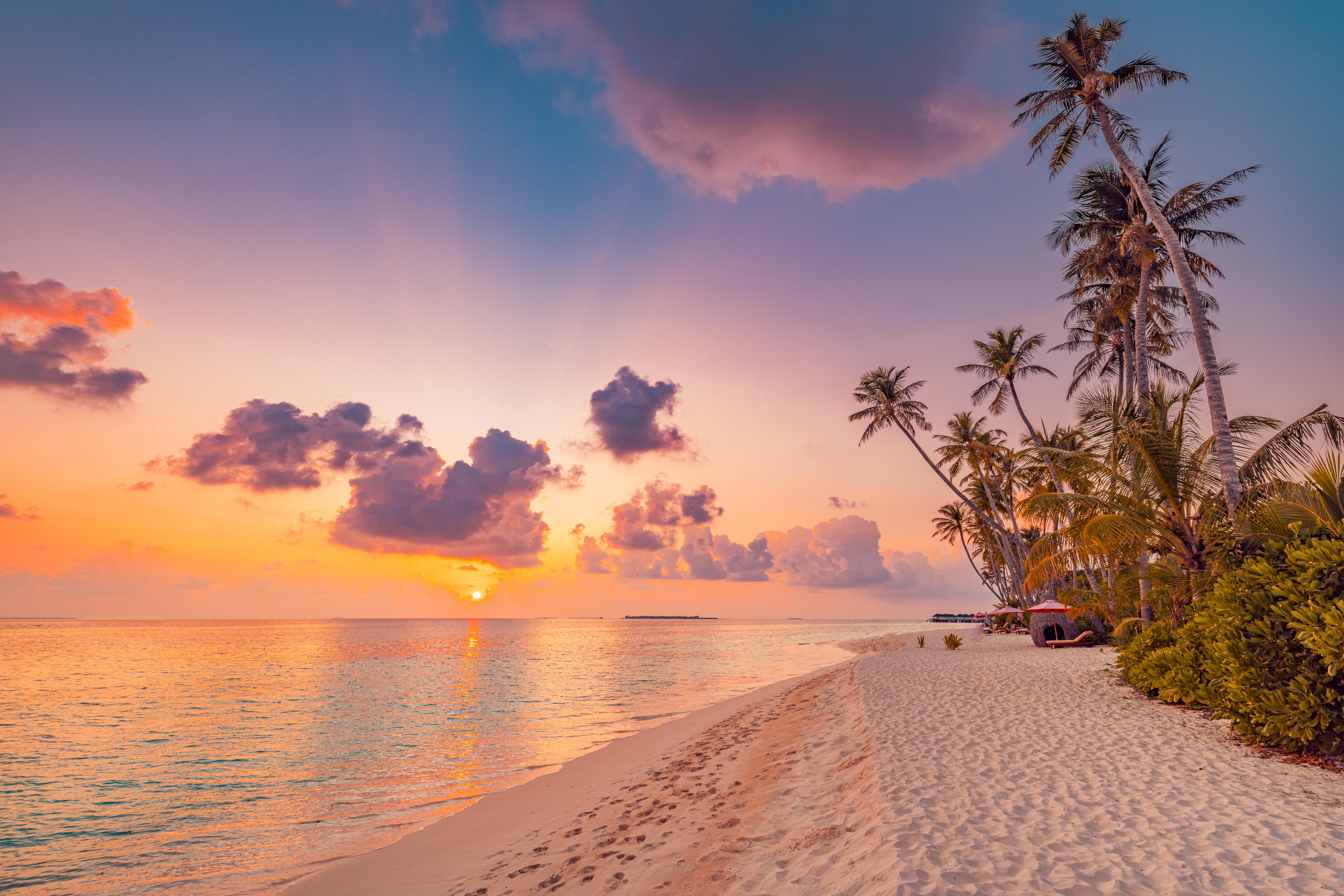 AdobeStock_658113179-E4RVsuaw.jpeg
