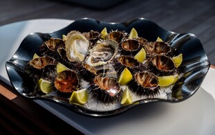 https://media.fraseryachts.com/Yachts/Y1065_KrB_MC/images/yachtfolio/o-ptasia-sea-urchins_87762-P1J3Xwrh.jpg?vh=a0db76&w=310