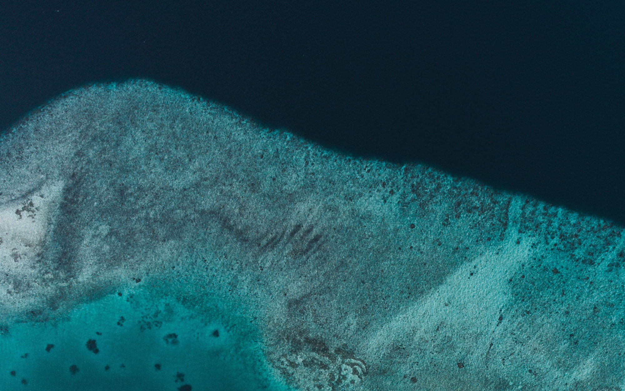 IN TOO DEEP motor yacht by Fraser Yachts, built by FERRETTI YACHTS