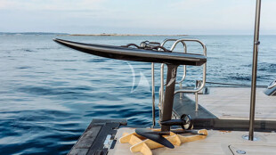 https://media.fraseryachts.com/Yachts/Y729_MC_MC/images/yachtfolio/loon-toys-efoil_368663-xAhHV08k.jpg?vh=5d9882&w=310