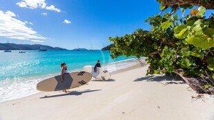 https://media.fraseryachts.com/Yachts/Y7861_MC/images/yachtfolio/adventure-paddle-sup_104911-G0S4A8KX.jpg?vh=fbb6cb&w=310