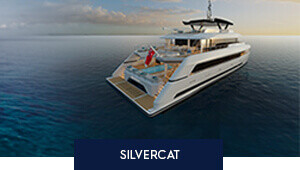 DISCOVER SILVERCAT