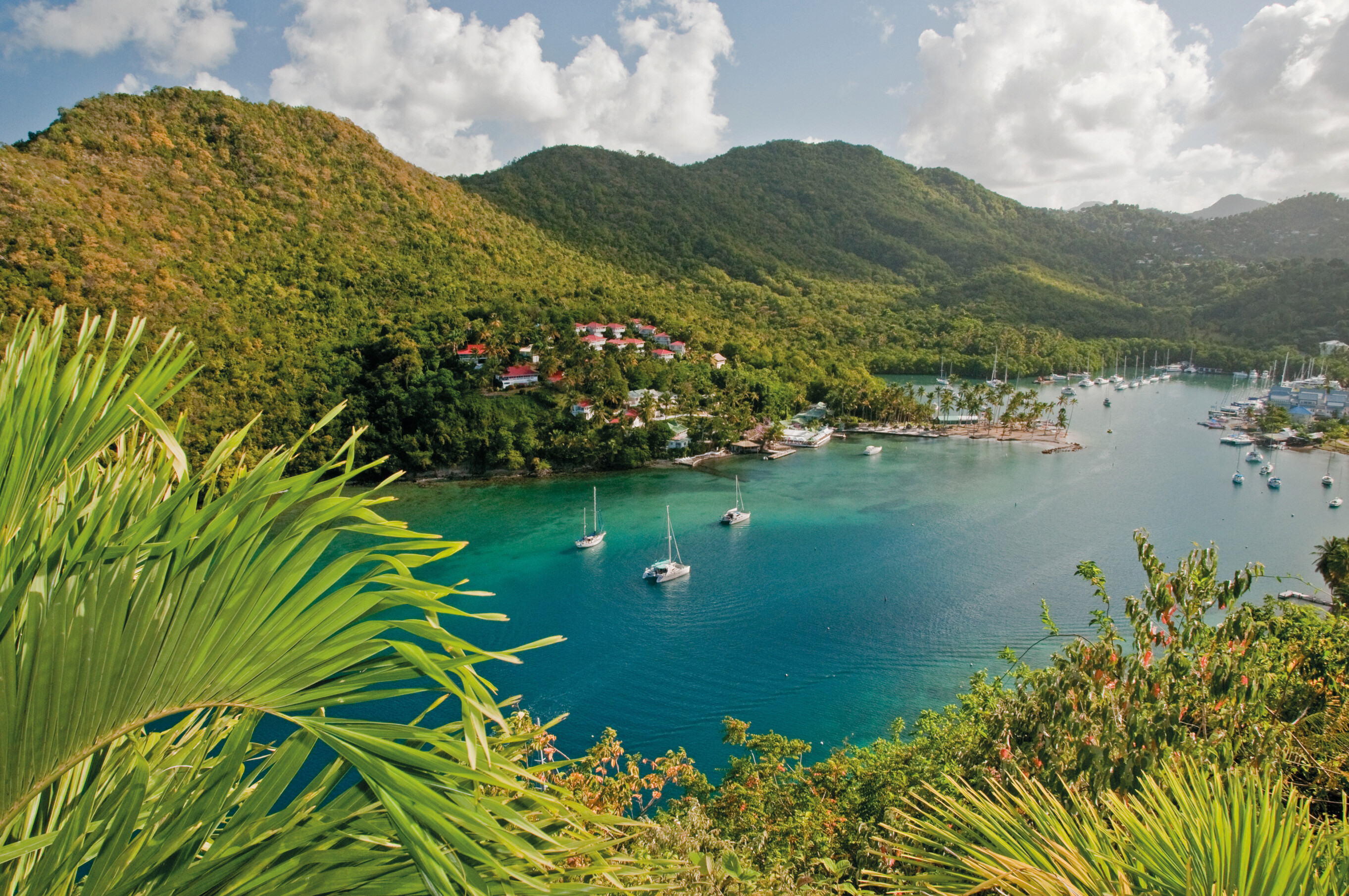 destination-caribbean-saintlucia-marigotbay_fraseryachts-6vNk2Cgz.jpg