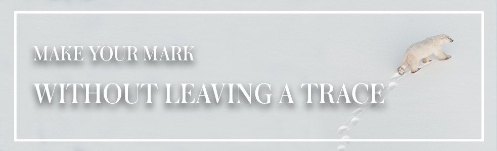 yersin_make_your_mark_withoutleaving_a_trace_green_yacht-8qrCT153.png