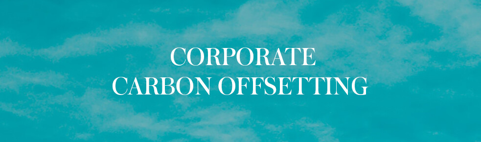 corporate-carbon-offsetting-all-corporate-travel-mailing_fraseryachts-0So0J6Bd.jpg