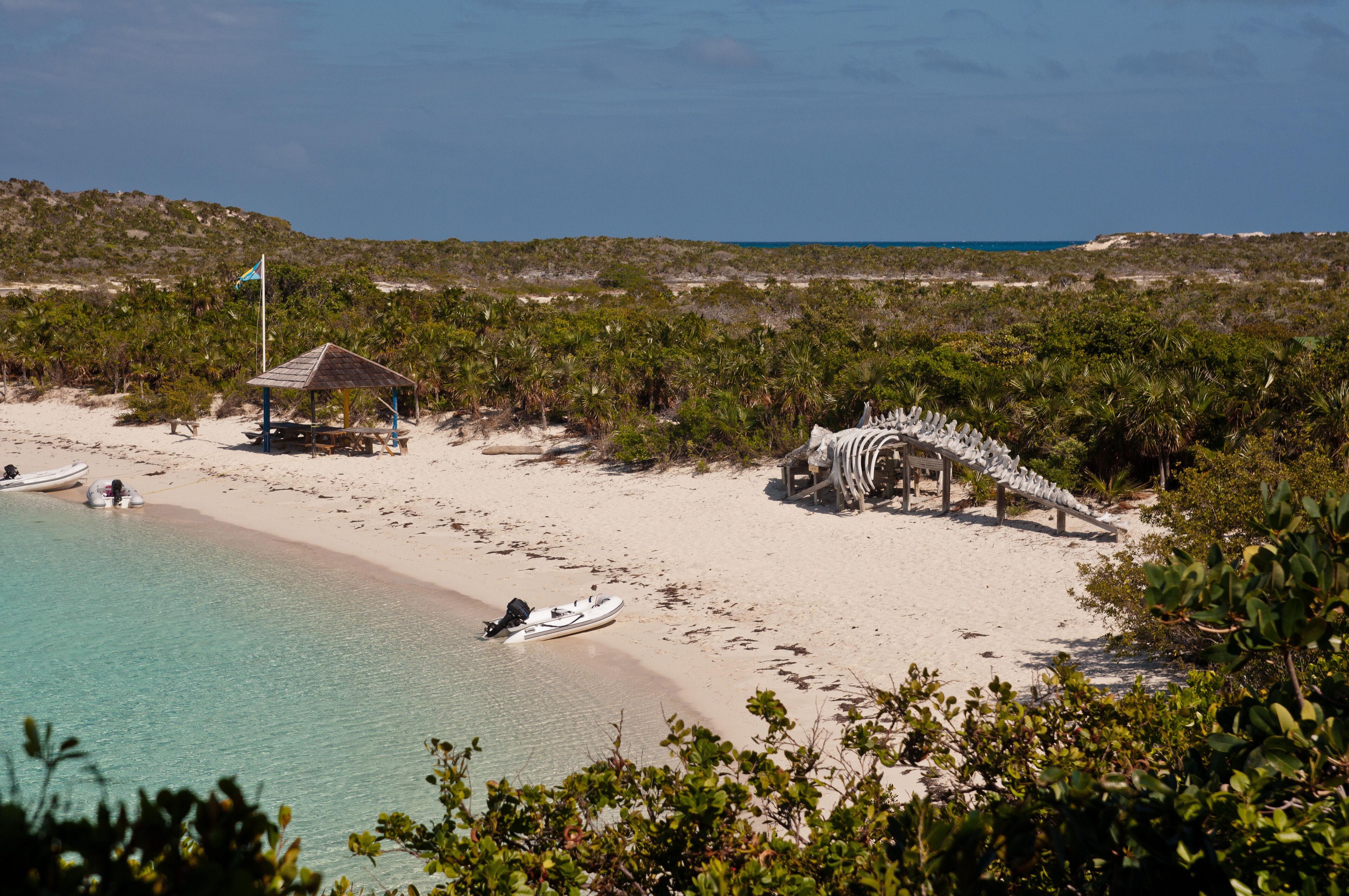 Whale skeleton at Warderick Wells, Bahamas—a striking landmark in the Exuma Cays Land and Sea Park that reflects marine conservation and natural history along luxury charter routes | Fraser Yachts