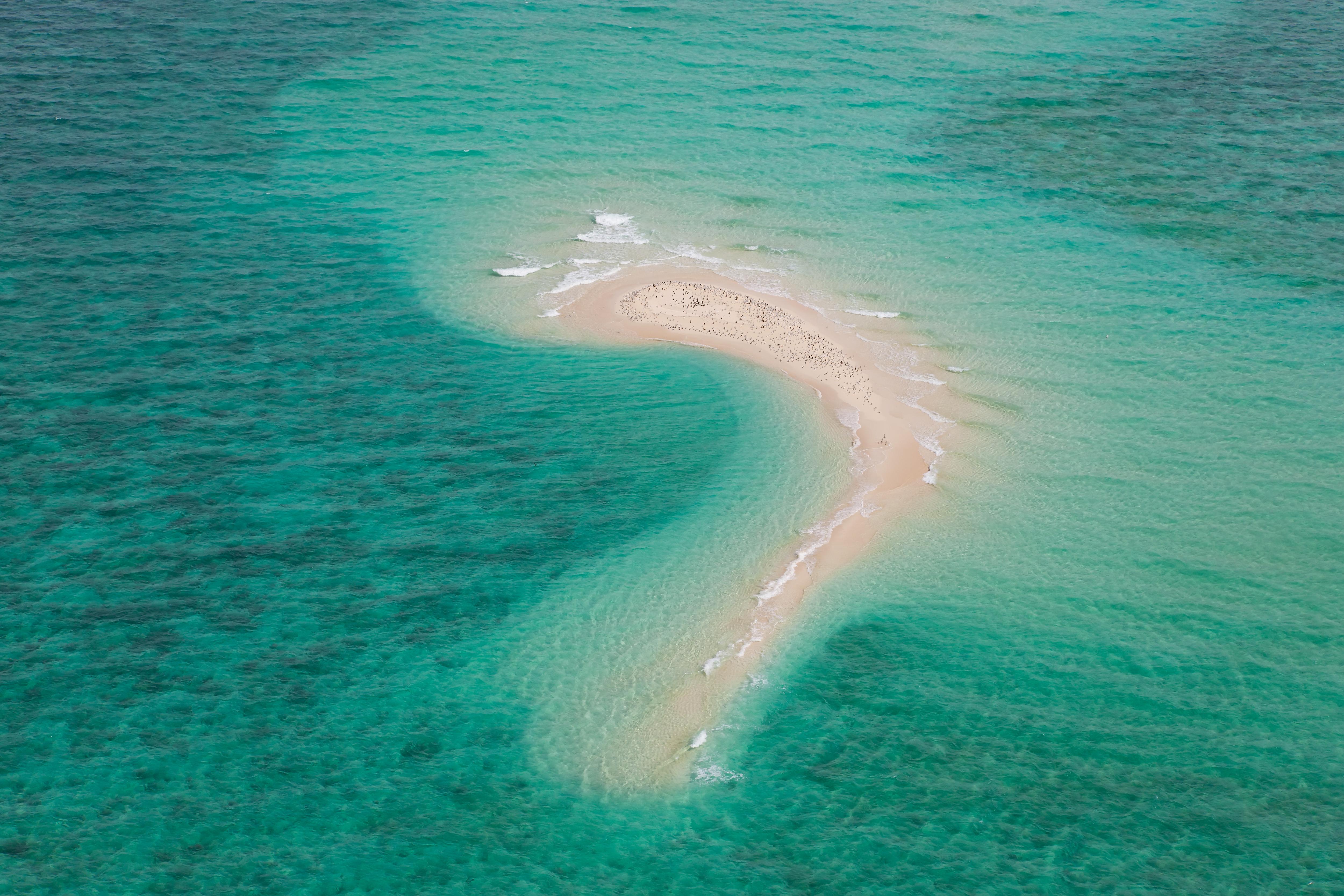 AdobeStock_597549380-RDMeUHa7.jpeg