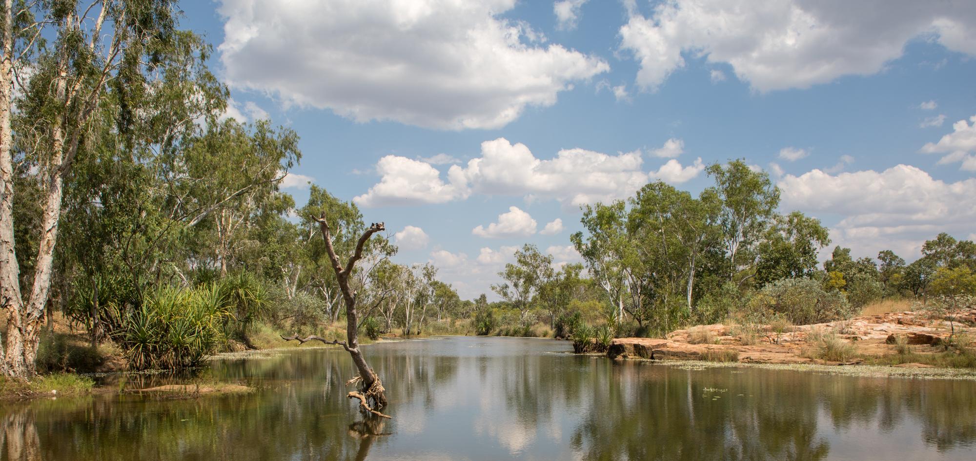 Experience the tranquility of Drysdale Creek in Kimberley: A beautiful green oasis ideal for relaxation and nature lovers | Creek, Drysdale, green, tranquil | Fraser