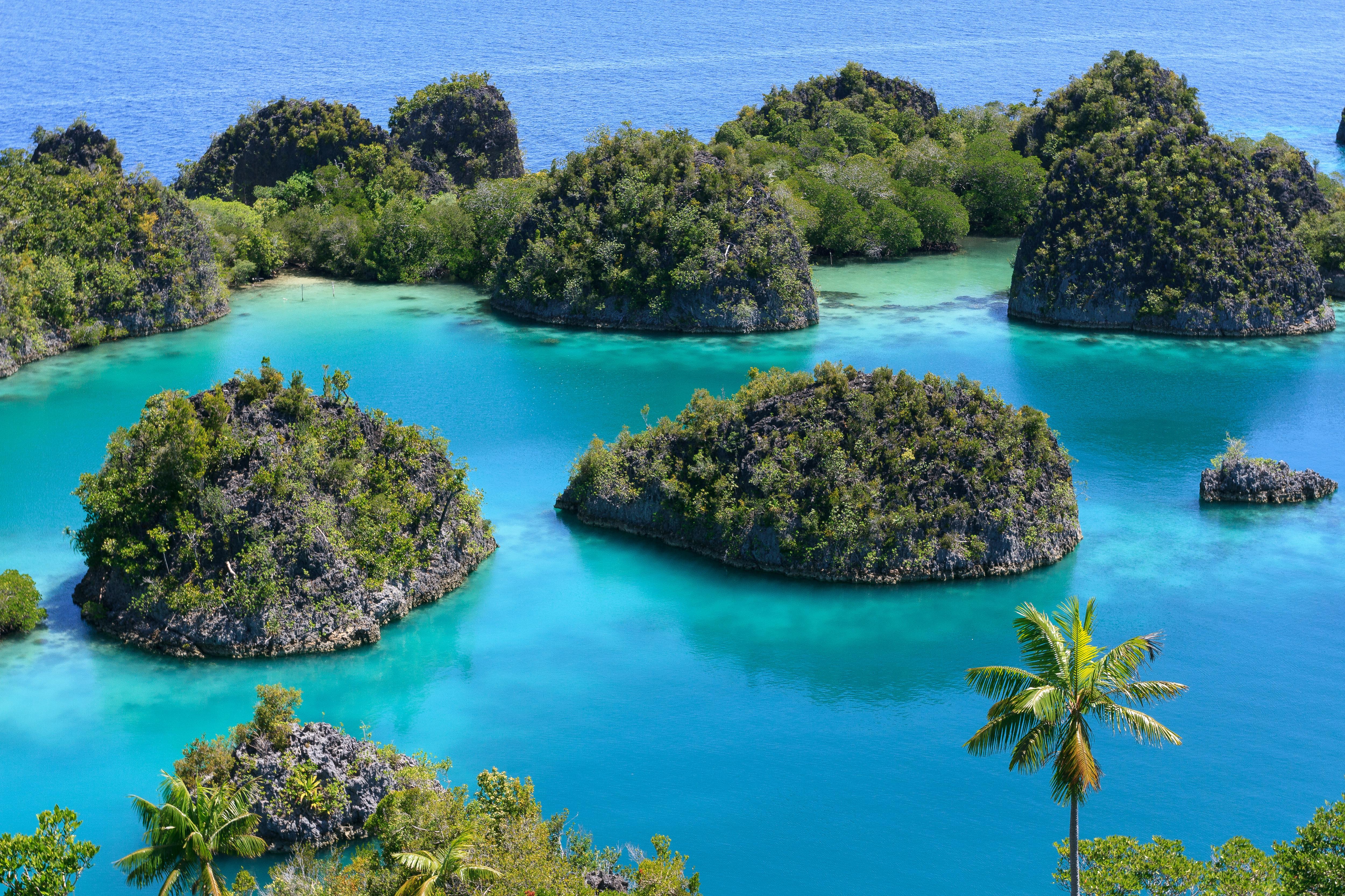 Discover the breathtaking new viewpoint at Penemu Island in Raja Ampat, Indonesia—famed for sweeping lagoon vistas, island trekking, and unforgettable yacht charter photo ops | Fraser