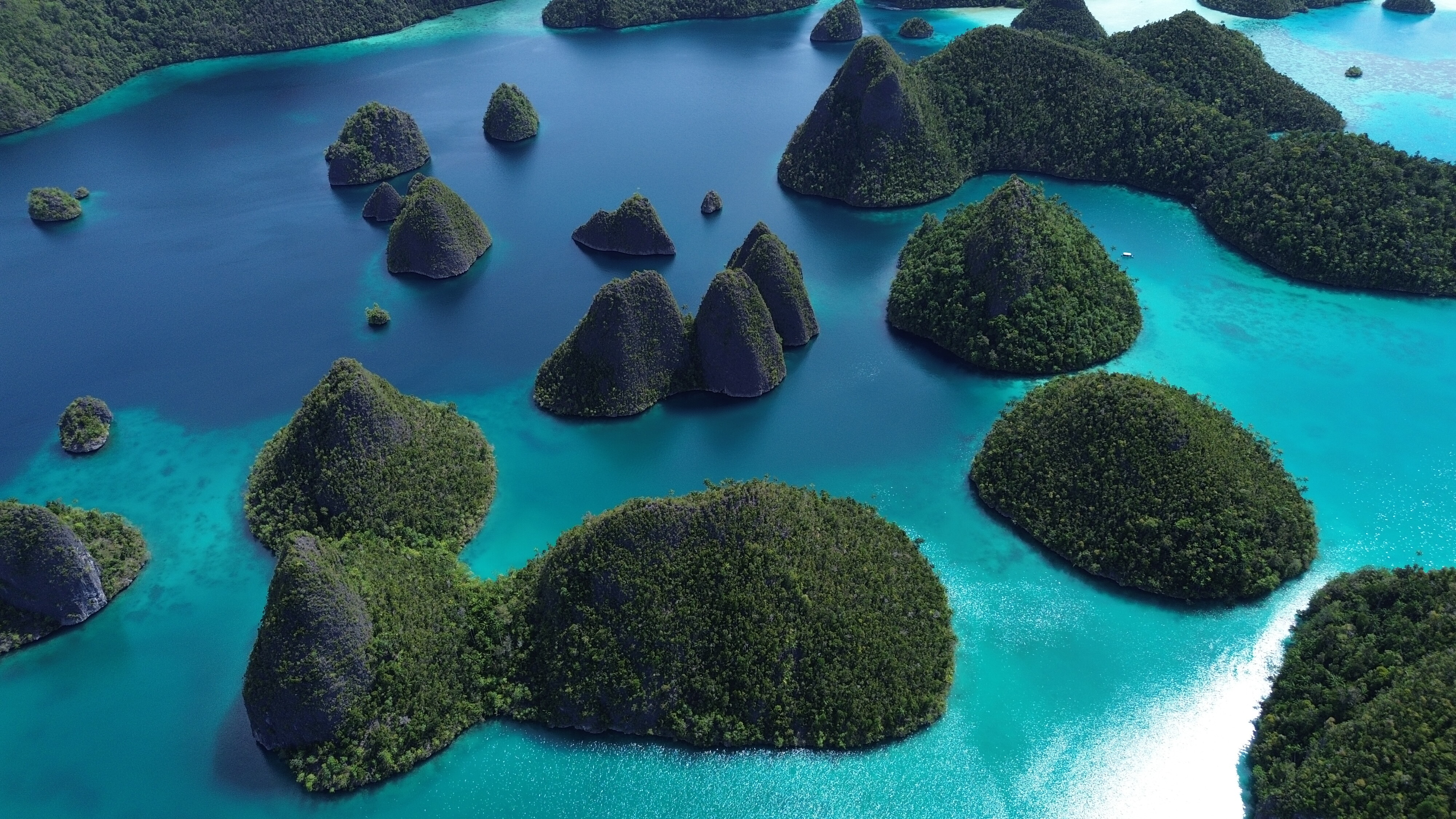 Explore Wayag Islands in Raja Ampat, Indonesia, where turquoise lagoons, limestone peaks, and deserted beaches create a remote paradise for water sports, hiking, and sunset escapes | Fraser