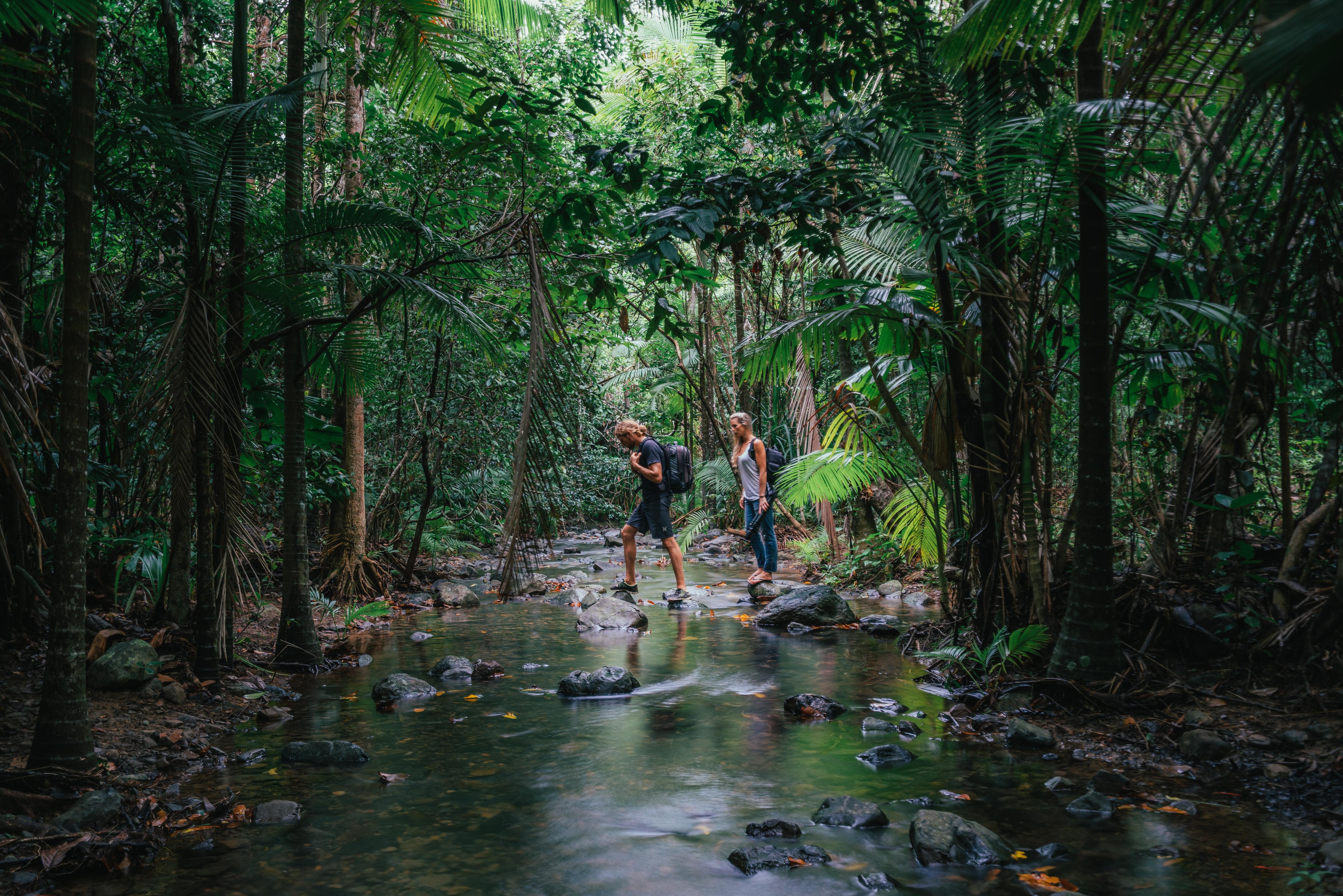 Tourism-Tropical-North-Queensland-0SSPMGFDgxxVhbE-WiJlWCVQ.jpg