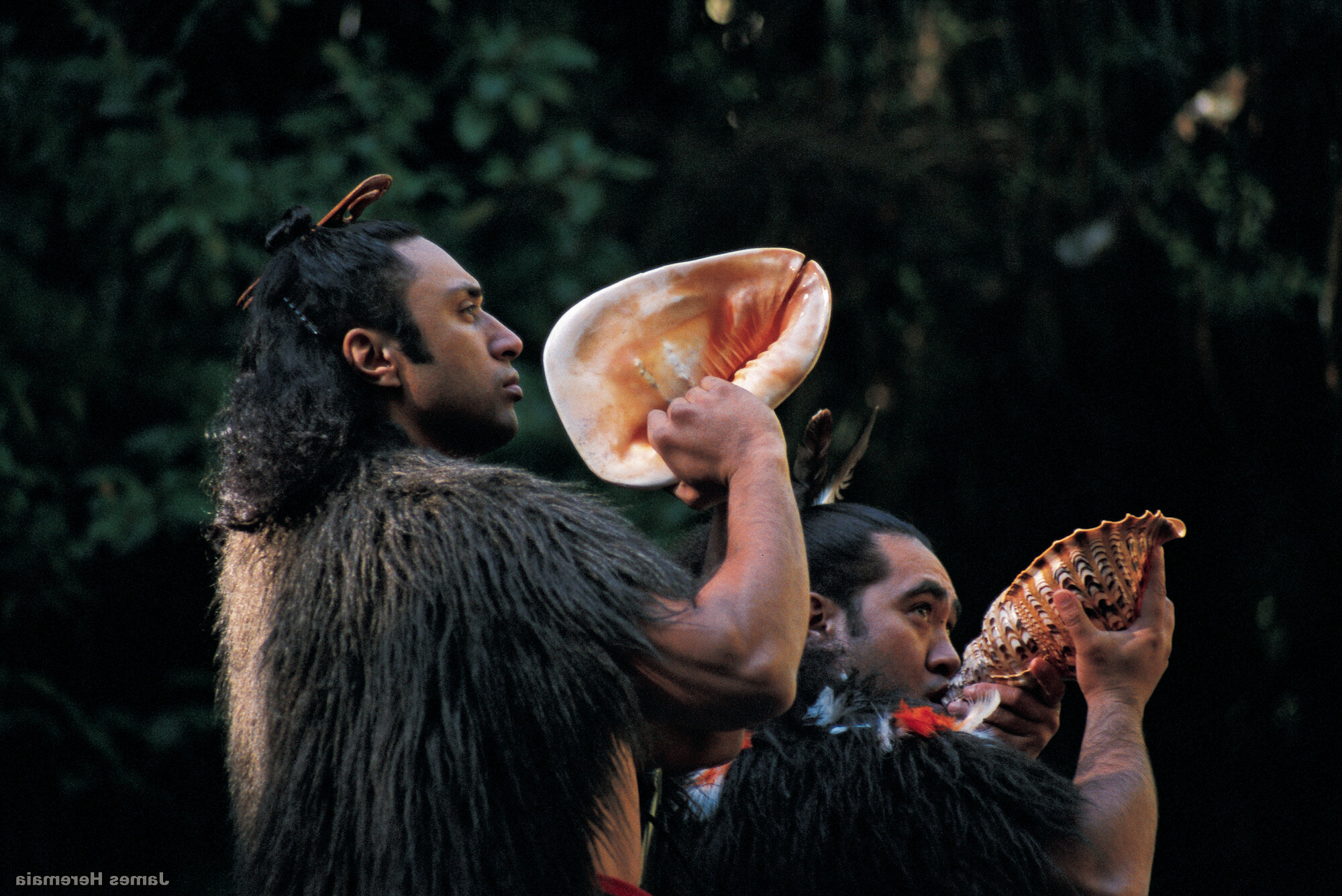 Immerse yourself in the rich cultural heritage of the Maori people in Auckland, New Zealand, with Fraser Yachts. | Australasia, New Zealand, Auckland, Maori culture, yacht charter | Fraser