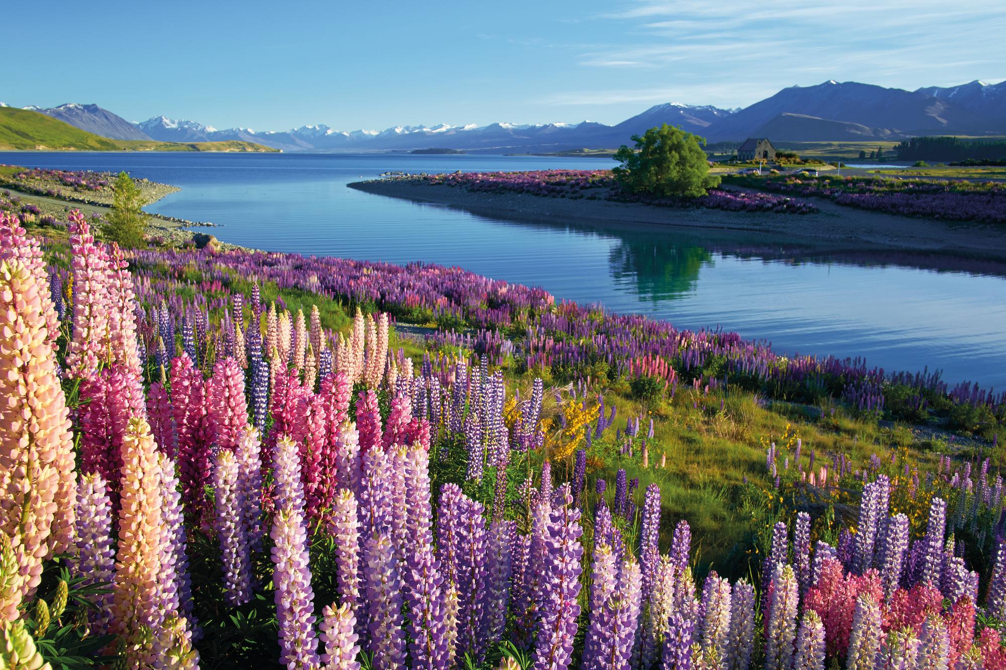 Embark on a scenic voyage to Lake Tekapo in New Zealand's Australasia region with Fraser Yachts. | Australasia, New Zealand, Lake Tekapo, yacht charter | Fraser