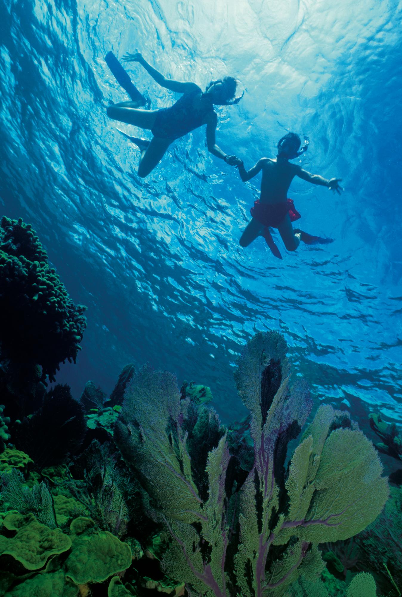 Experience the joy of diving with your kids into the crystal-clear waters of the Bahamas with Fraser Yachts. | Caribbean, Bahamas, water sport, kids diving, swimming, snorkeling yacht charter | Fraser
