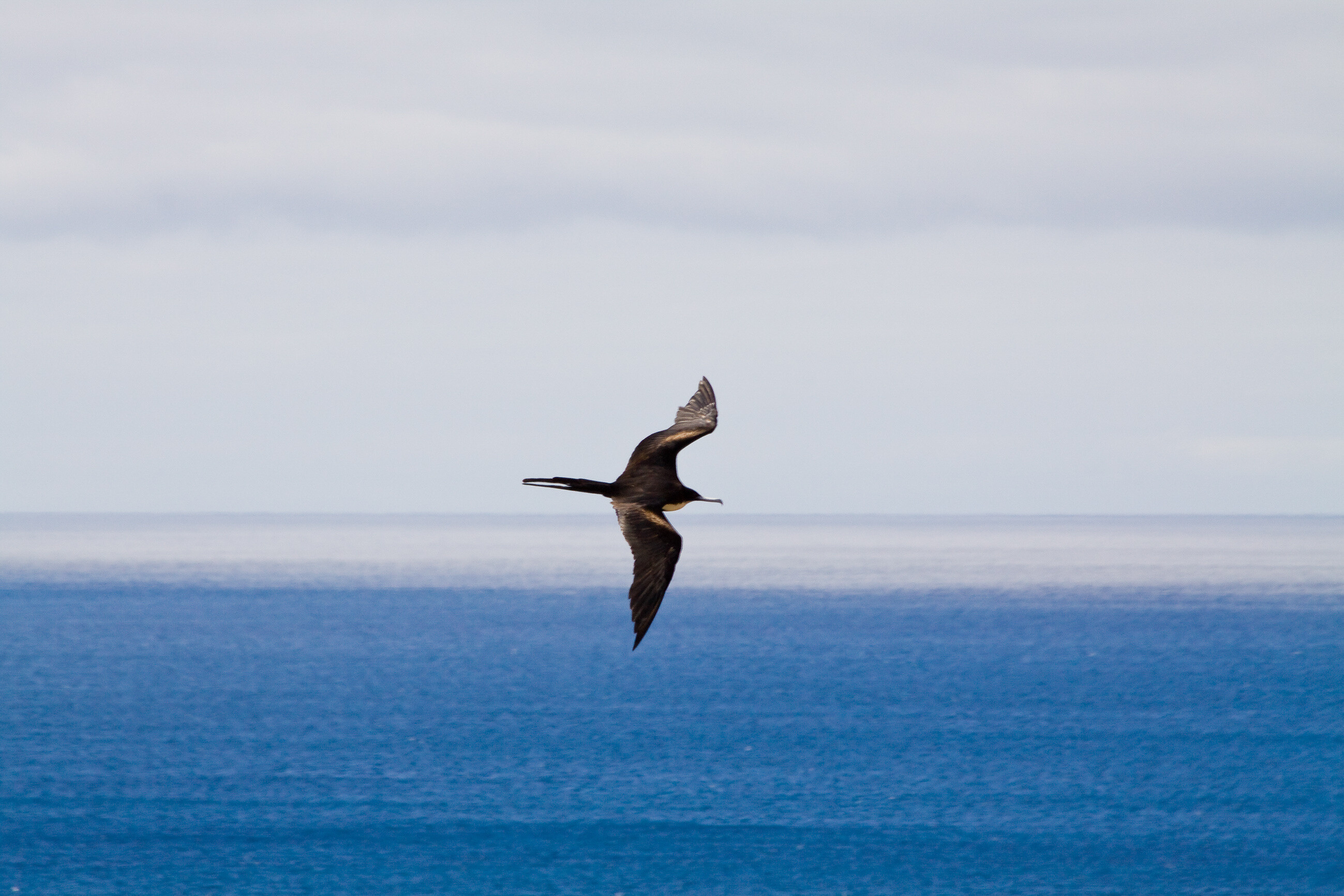 AdobeStock_79988236-FTzcDGqb.jpeg