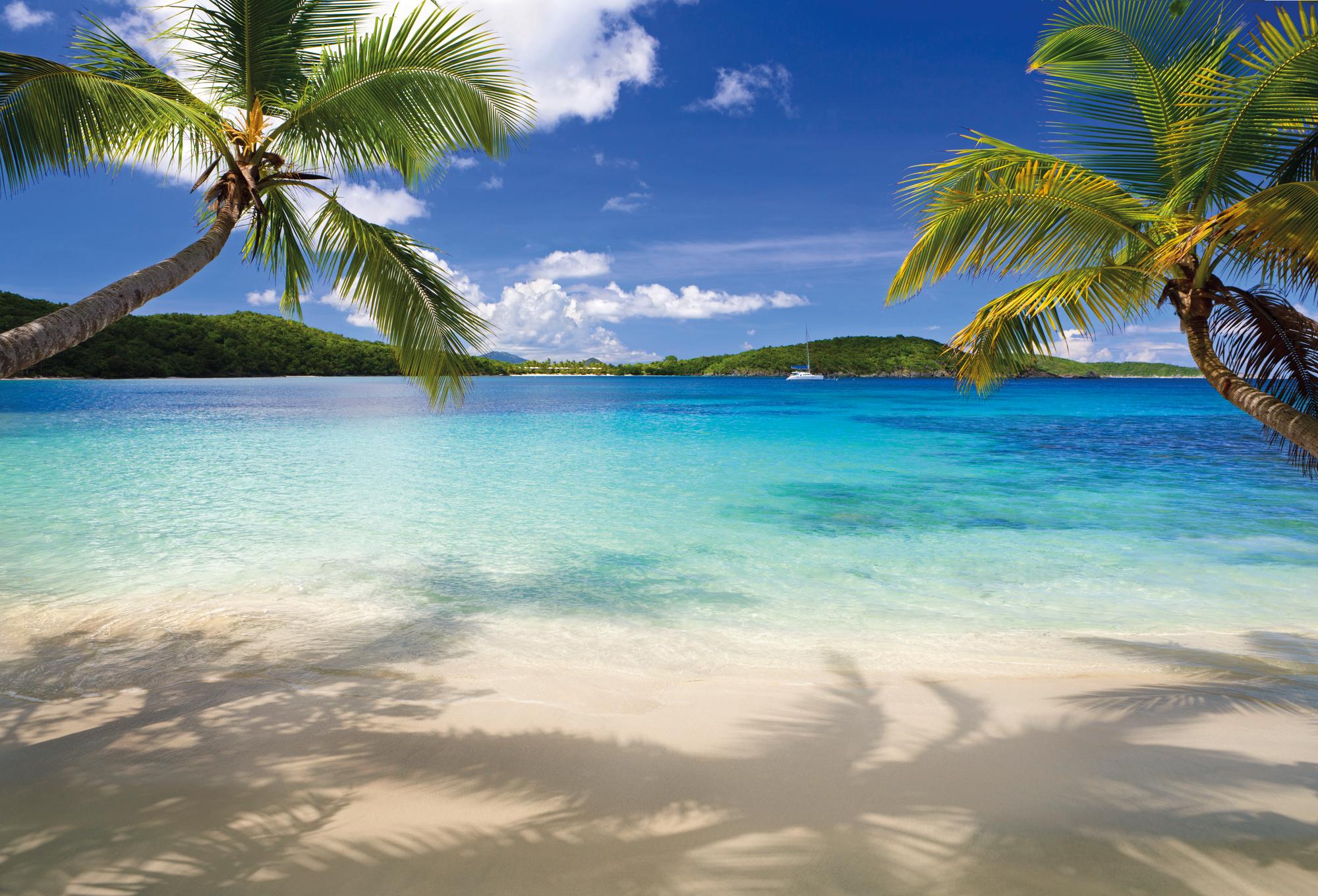 Discover the serene seascape of the Virgin Islands, Leeward Islands in the Caribbean, with Fraser Yachts. | Caribbean, Virgin Islands, seascape, palm tree, yacht charter | Fraser