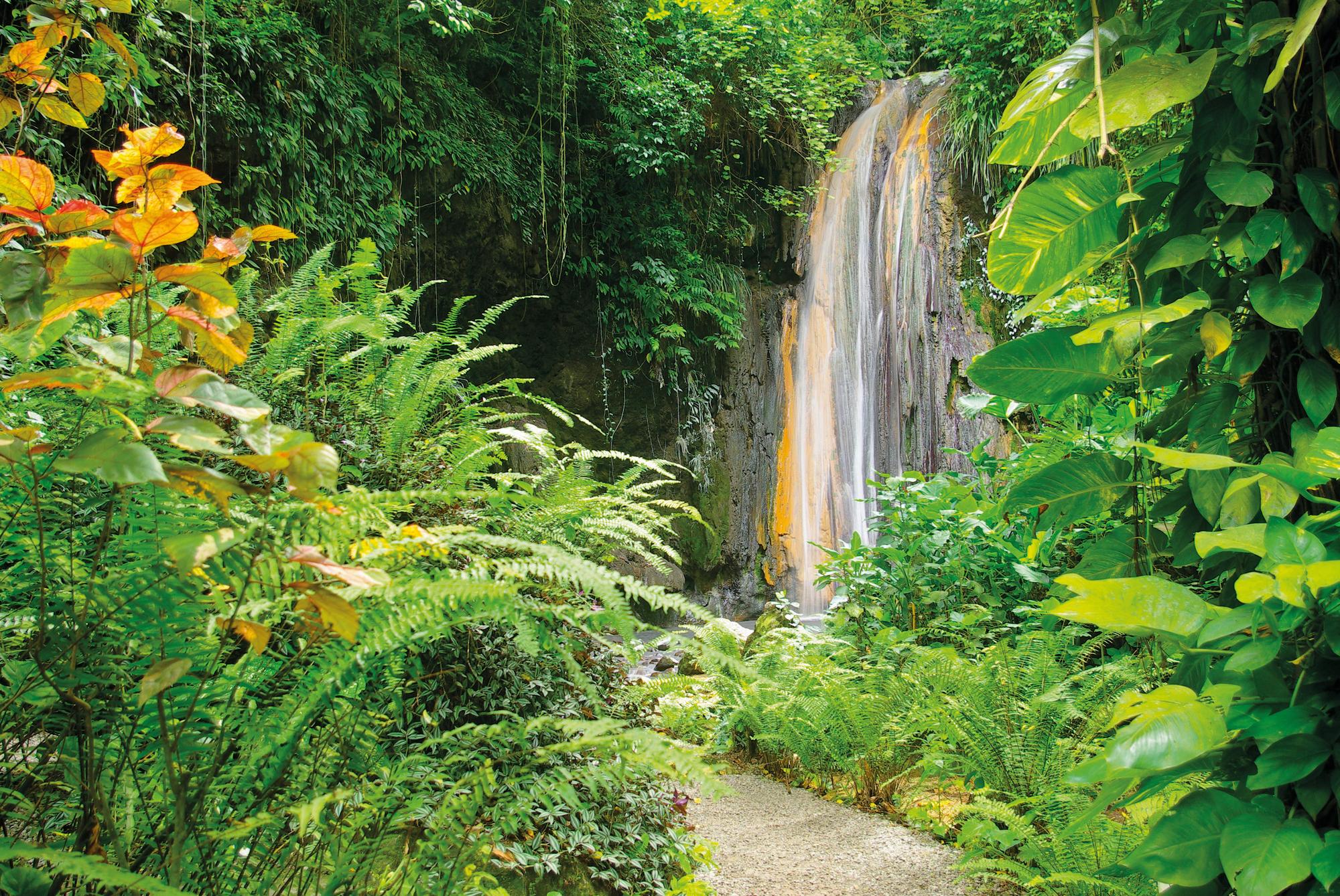 Discover the enchanting waterfalls nestled in the lush forests of St. Lucia in the Caribbean with Fraser Yachts. | Caribbean, St. Lucia, waterfalls, forest, yacht charter | Fraser