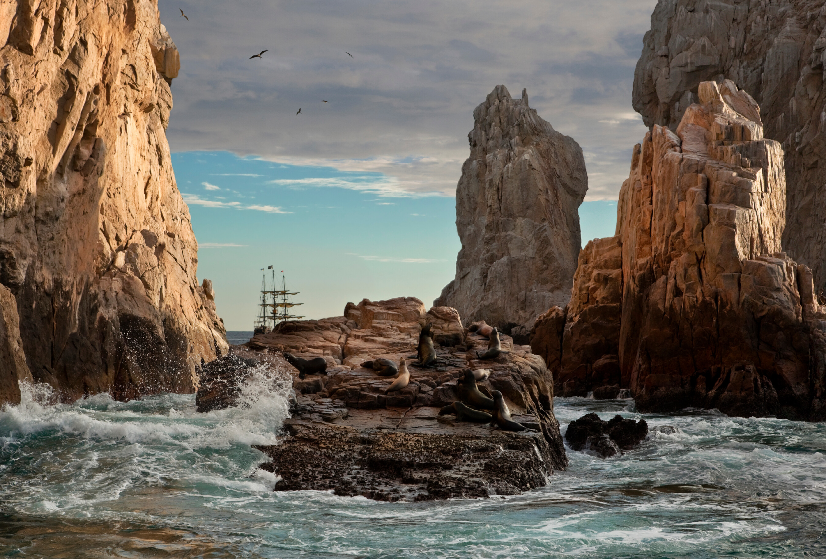 Land's End Seal Colony - Stock image_iStock_000012213432Large-8GHMYCwg.jpg