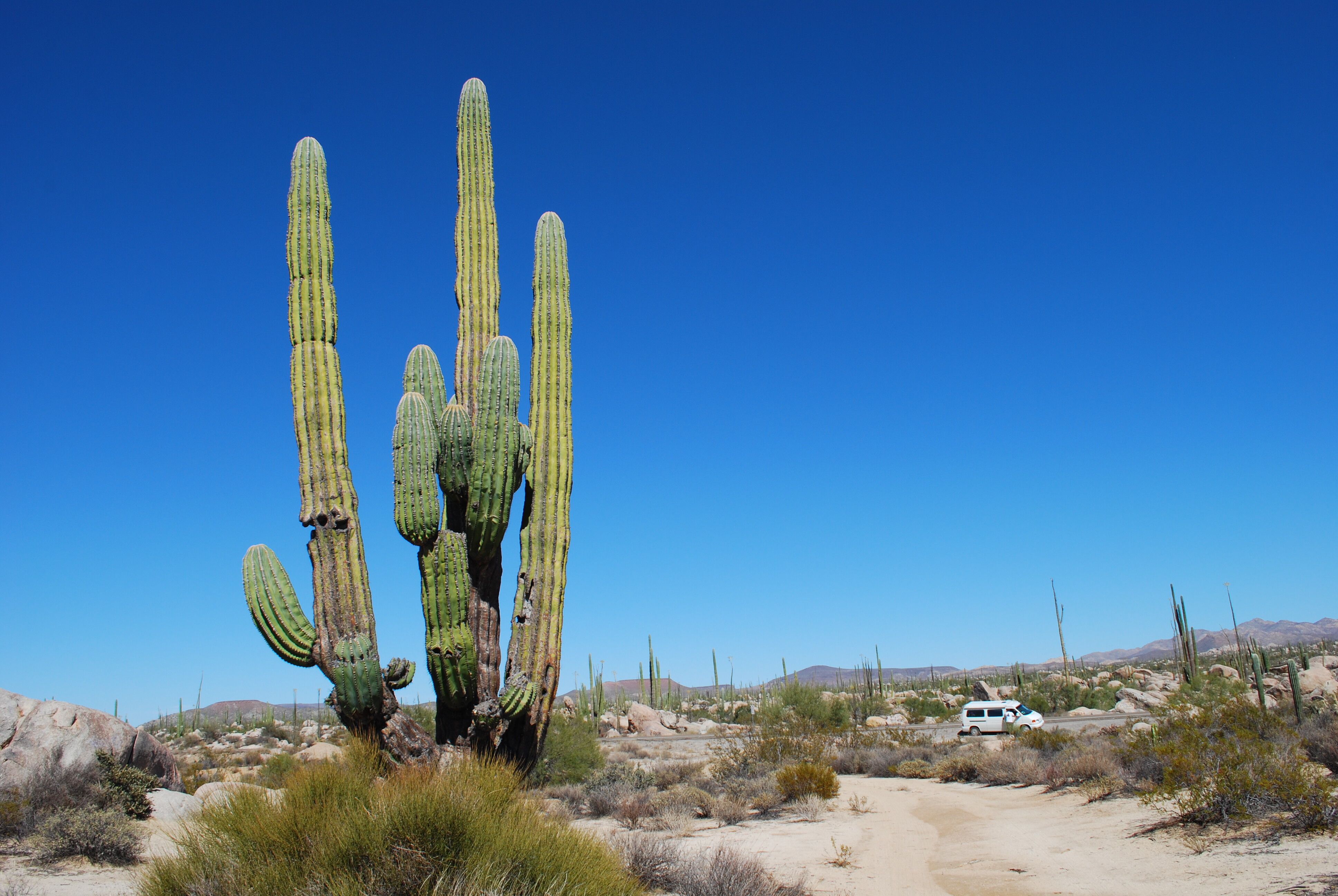 Mexico_Baja-dsc_0744_HR-V8nx5WlX.jpg