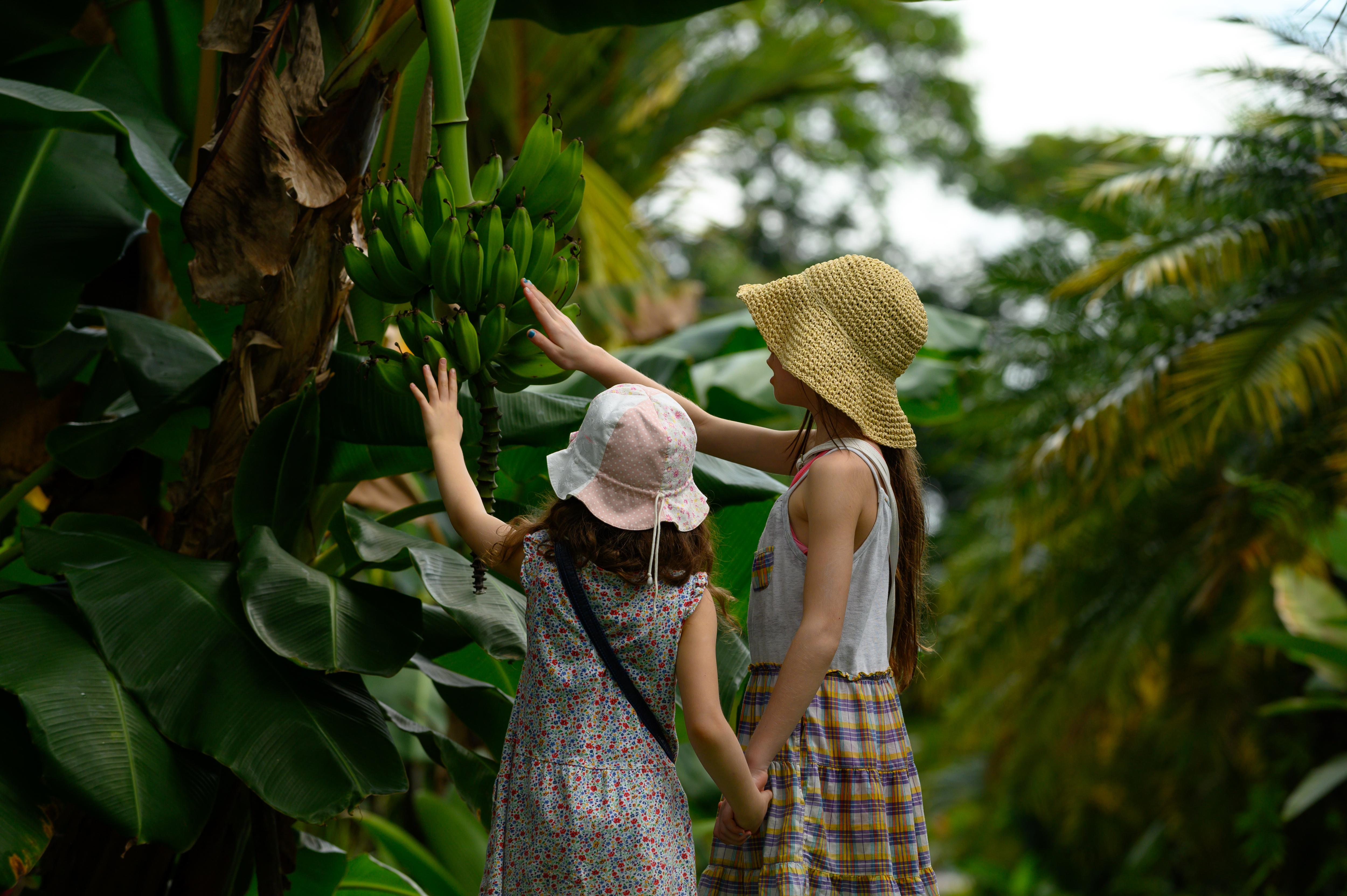 Tropical jungle with girls iStock-1140394525-9XVNwxgl.jpg