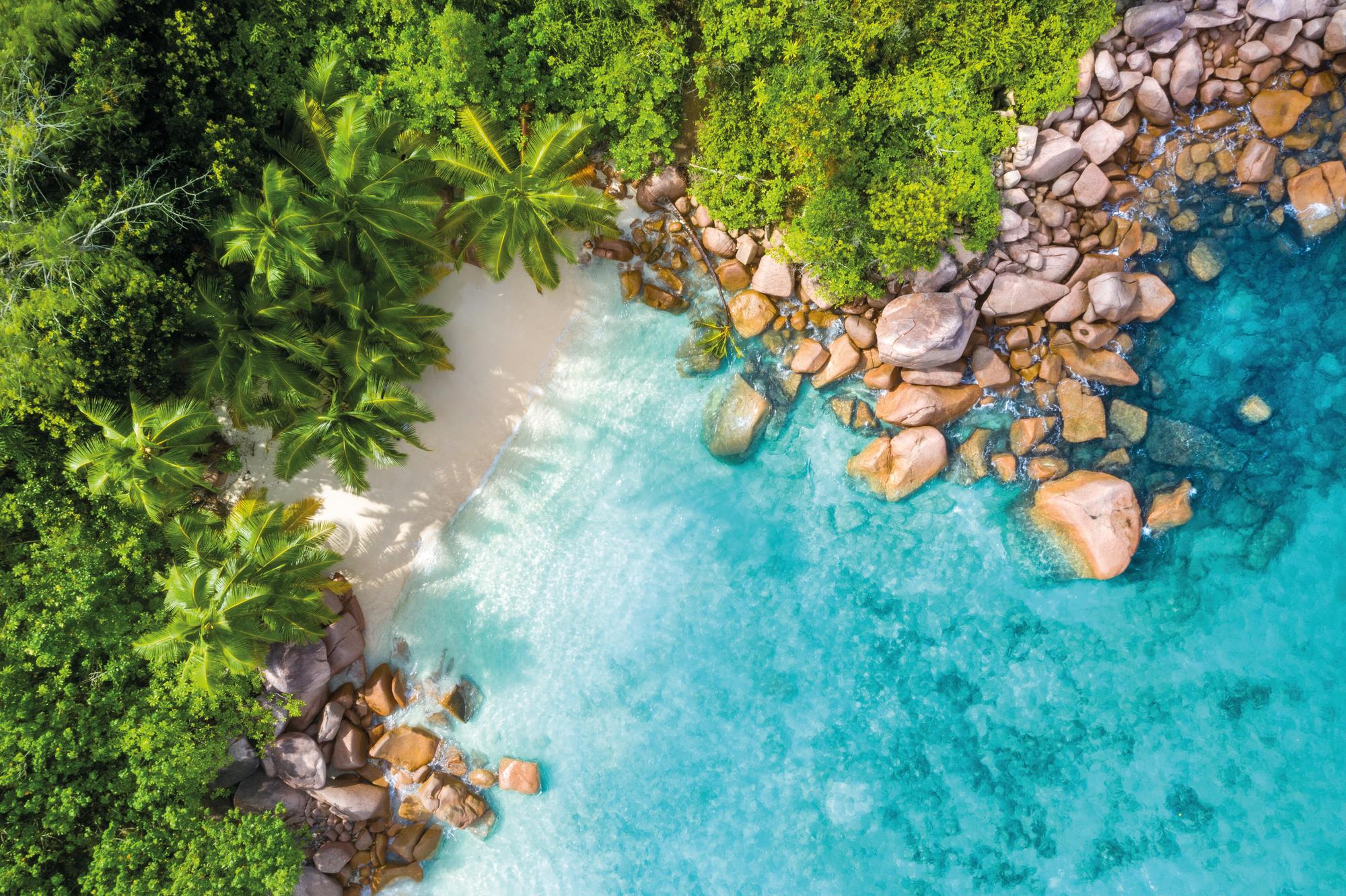 Take in the breathtaking aerial view of Anse Lazio Beach in Praslin, Seychelles, with its picturesque palm trees and crystal-clear waters | Indian Ocean, Seychelles, Anse Lazio Beach, Praslin, aerial view, palms, beach, beautiful water | Fraser