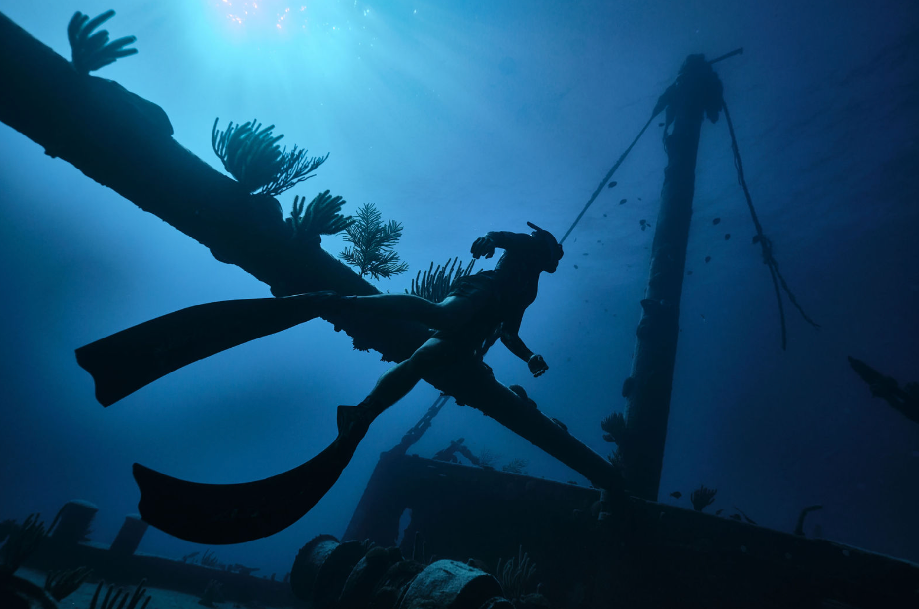 Dive-59YE7tmt.png