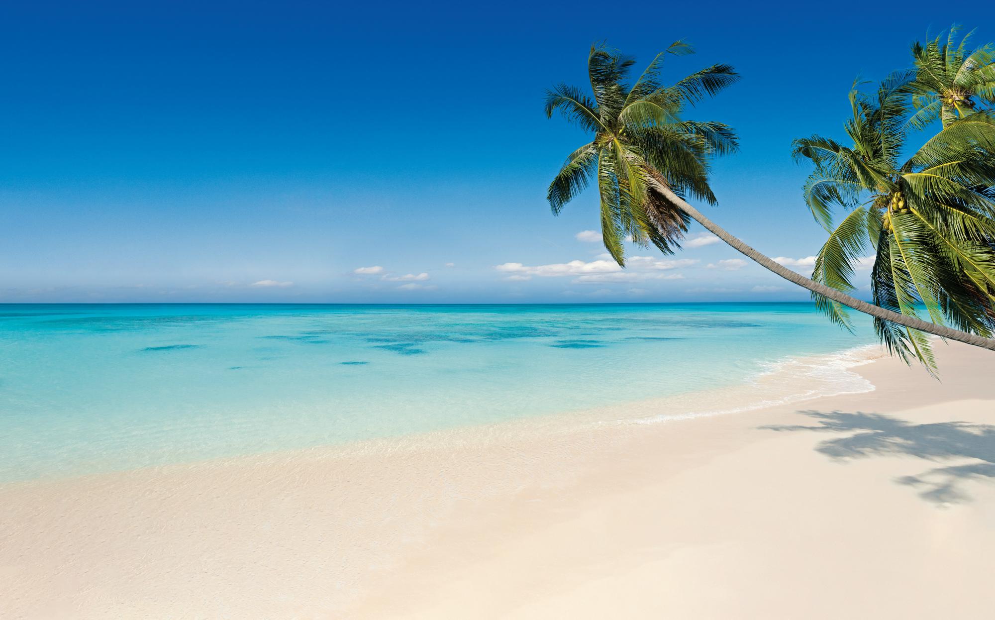 Experience the beauty of Fiji's beaches with Fraser Yachts. | South Pacific, Fiji, beach, yacht charter | Fraser