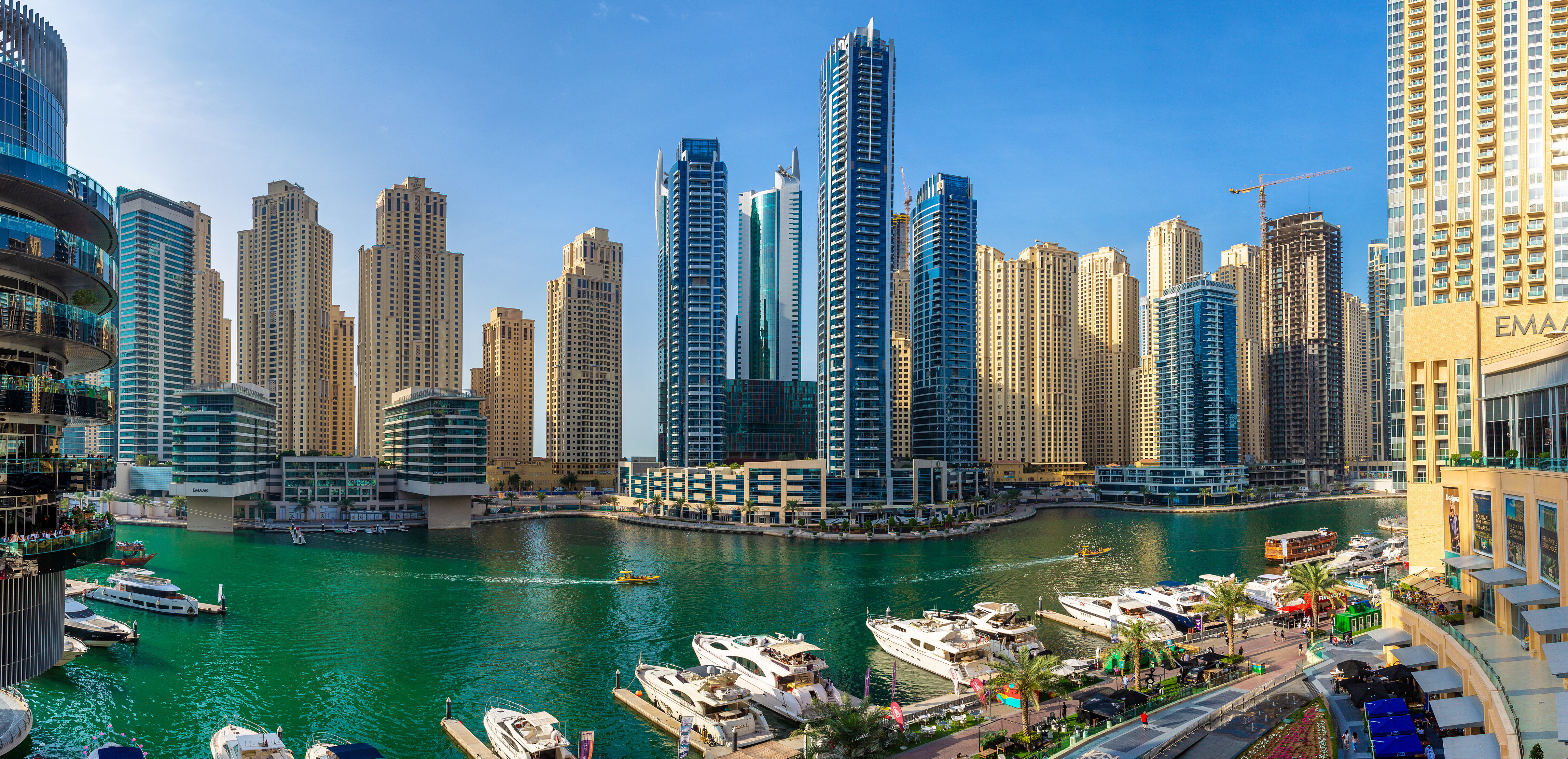 Dubai Open Day