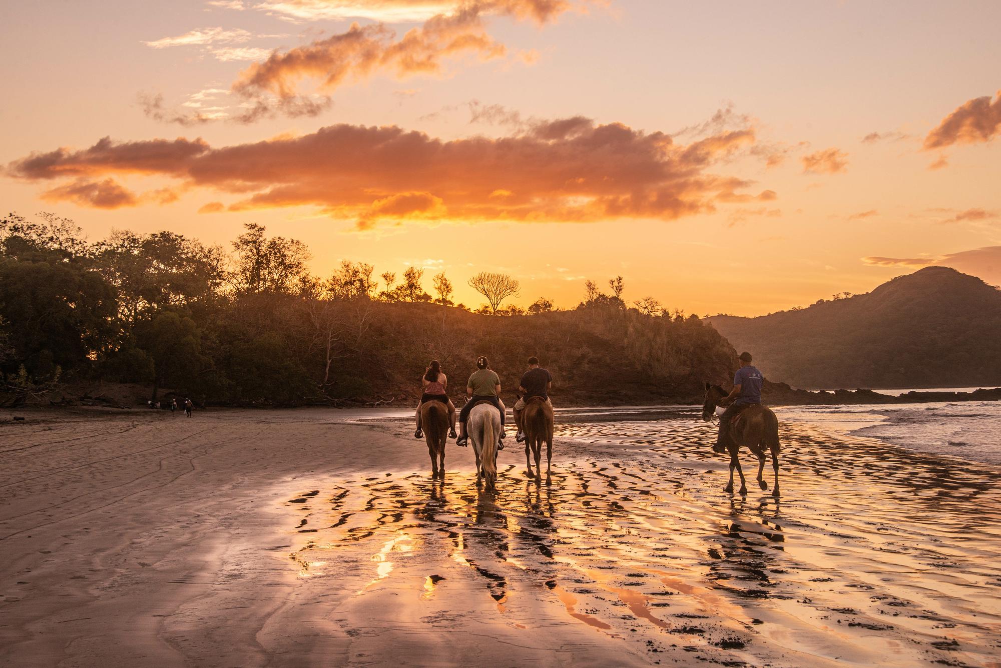Relax at Playa Conchal, where you can see a group of horses riding along the beach at sunset, offering a scenic and tranquil experience | Beach, Horses Riding, Scenic, Sunset, Group | Fraser