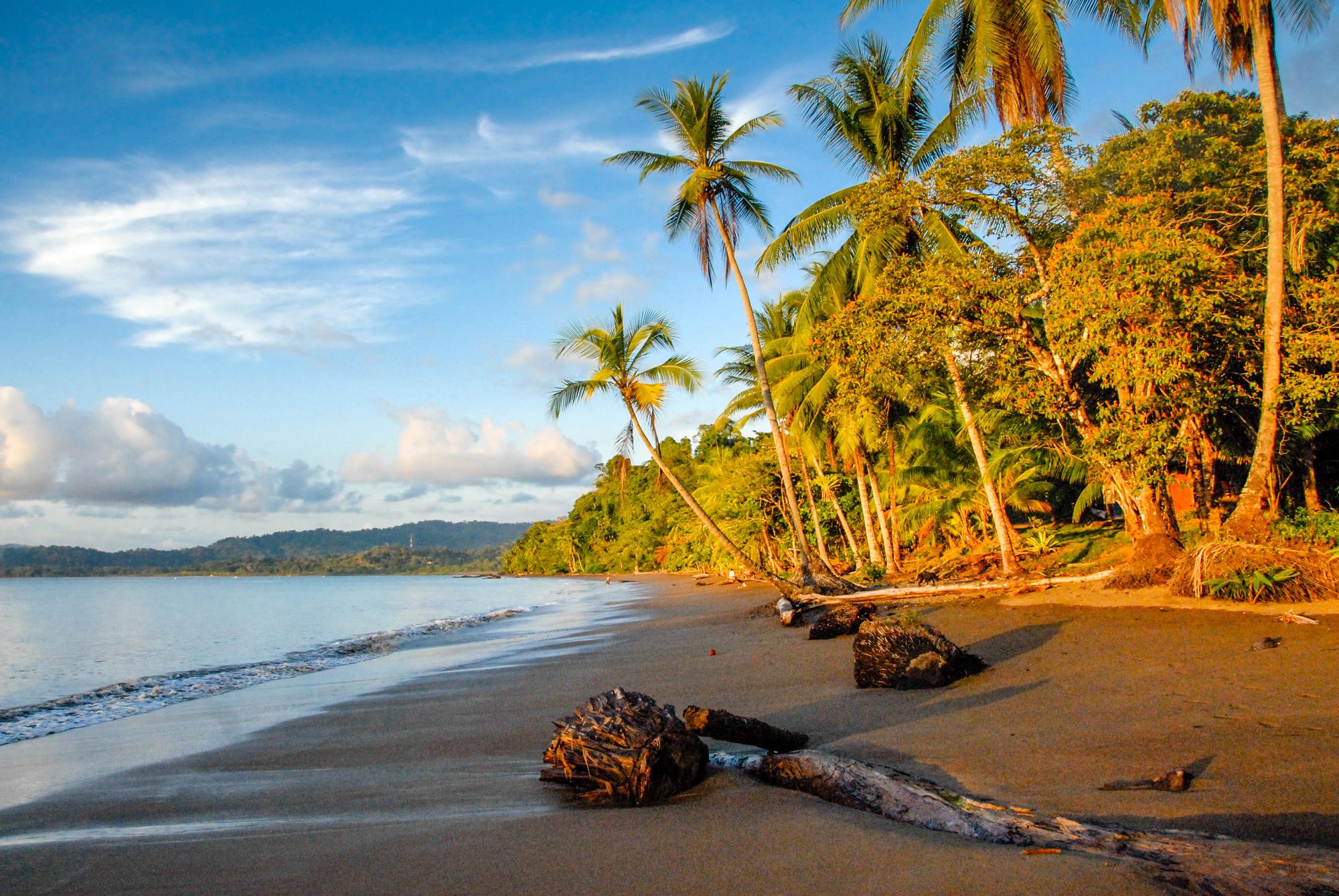 Experience the picturesque shoreline of Bahia Drake with its beautiful nature, ocean views, palm trees, and sunny beach | Beauty, Nature, Ocean, Palm, Picturesque, Shoreline, Sun, Summer, Beach | Fraser