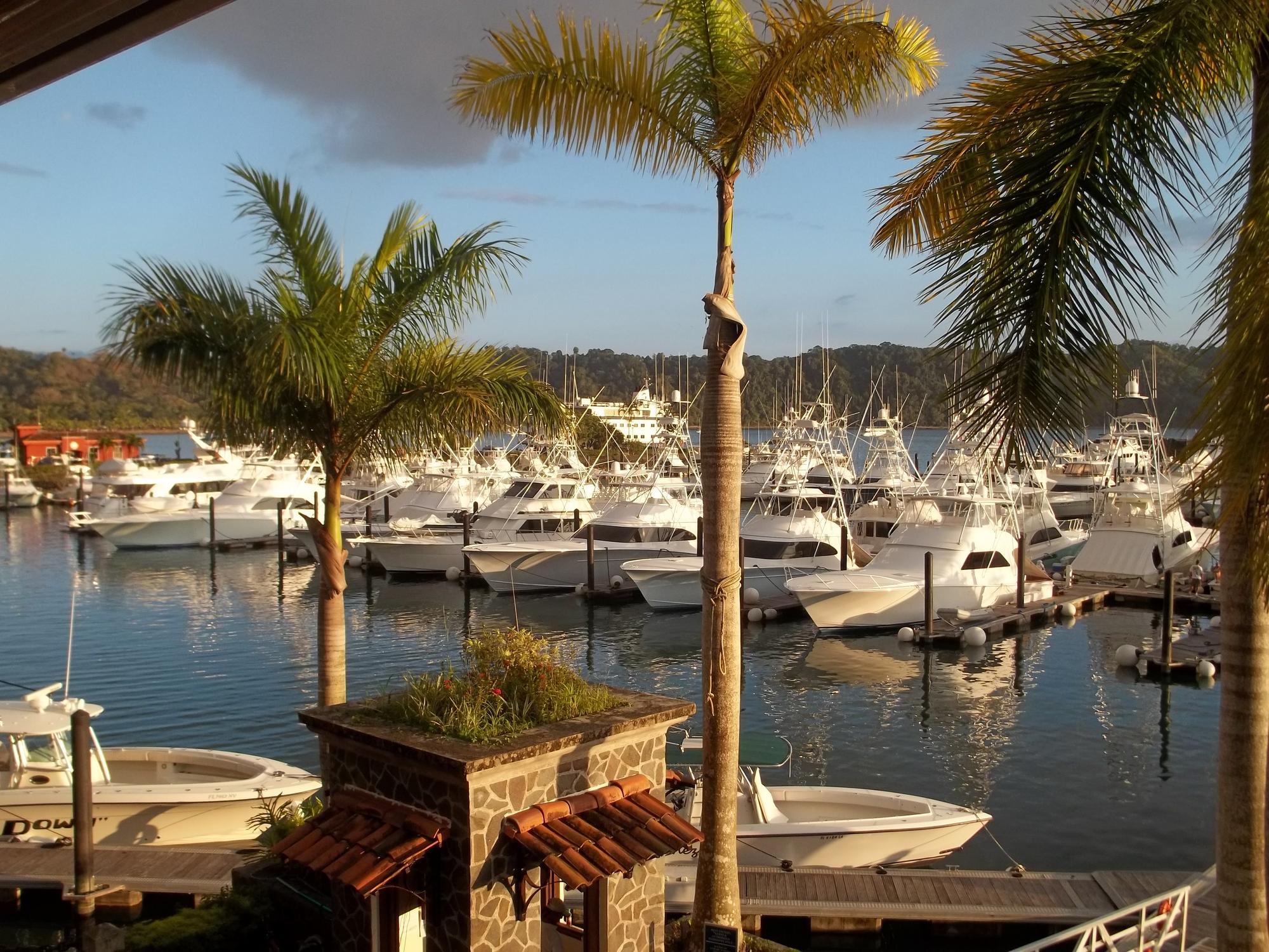 Enjoy a scenic view of a fishing boat and palm trees at Los Sueños Marina in Costa Rica | Fishing Boat, Palm Tree, Marina, Costa Rica | Fraser