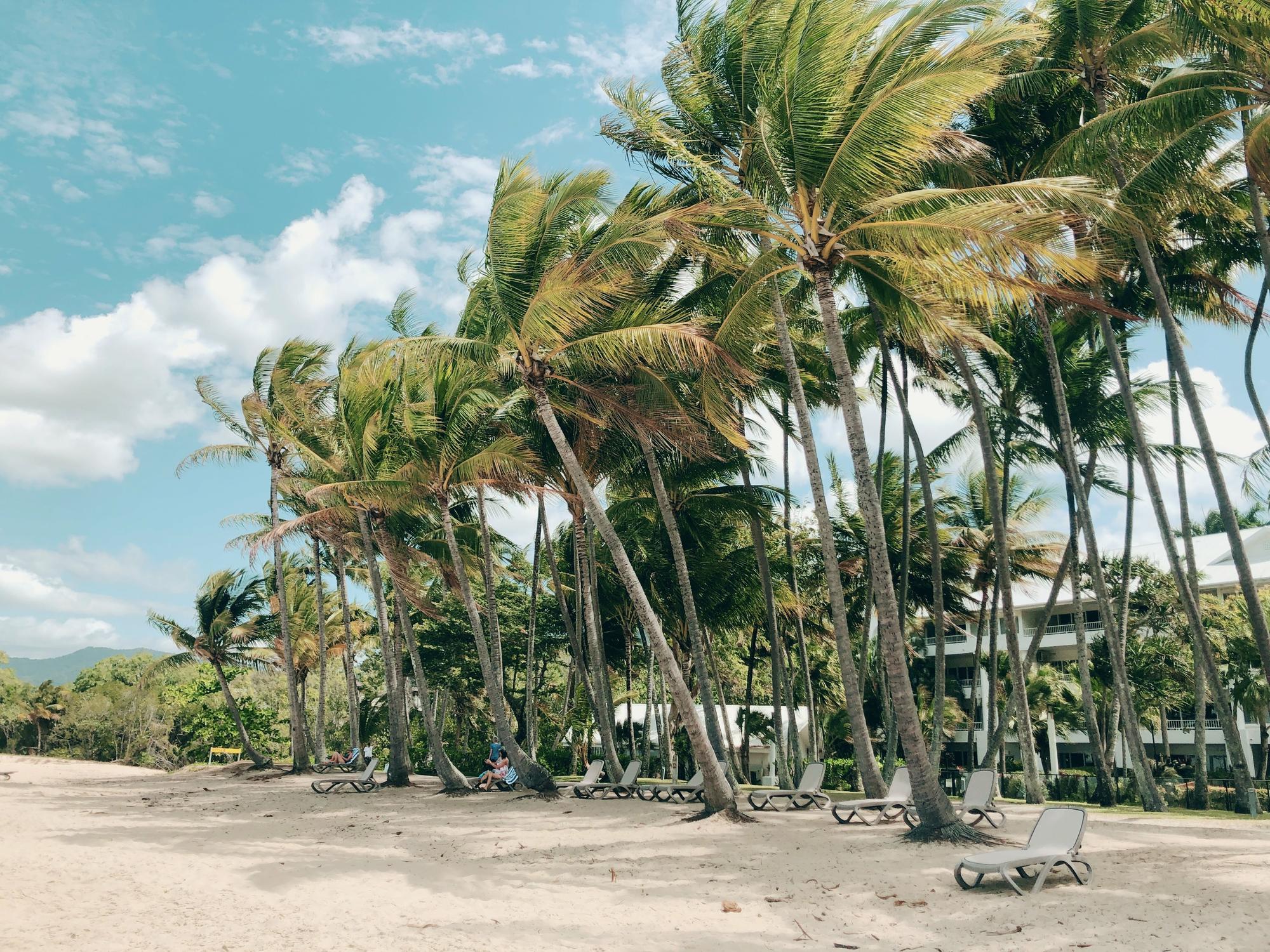 Discover the beauty of Palm Cove in Cairns with a perfect beach setting and outdoor leisure | Palm Cove, outdoor, beach, Cairns | Fraser