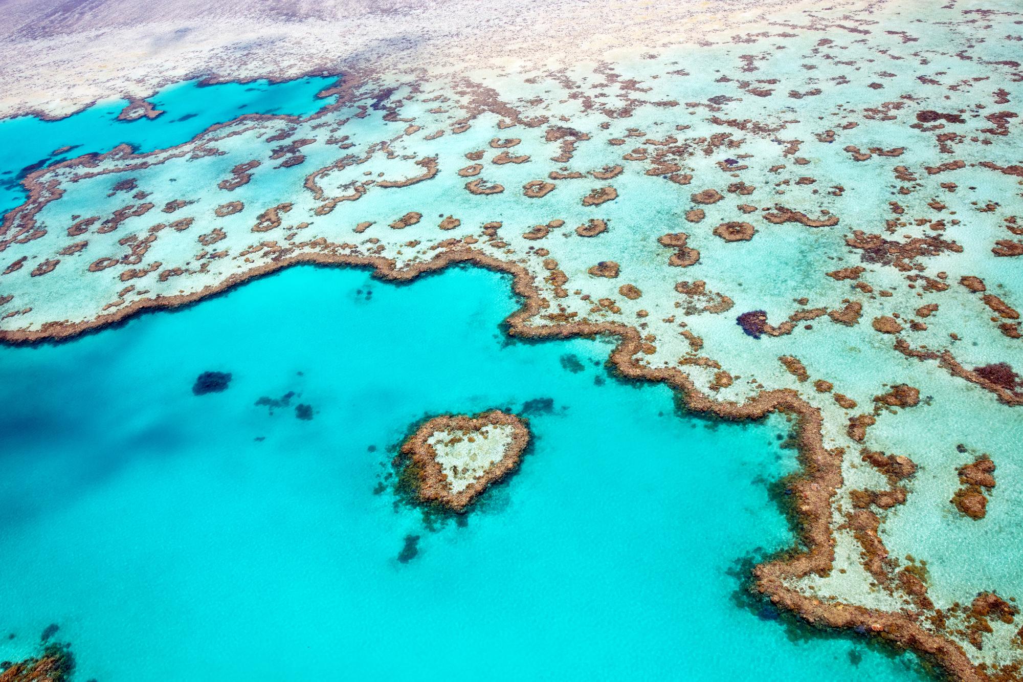 Admire the stunning aerial view of Heart Reef in the Great Barrier Reef, showcasing scenic aqua waters and breathtaking sights | Aerial, aqua, sights, scenic | Fraser