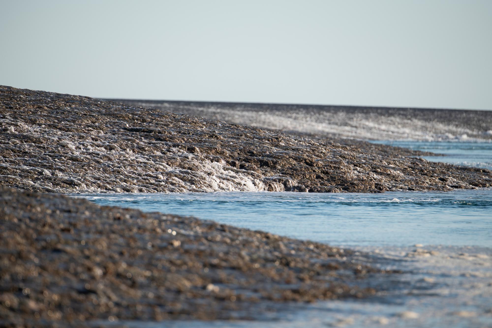 Explore Montgomery Reef’s sandstone beauty and Camden Sound’s ecosystem with dynamic tidal waters in Kimberley | Sandstone, Camden Sound, Ecosystem, Tide, Water | Fraser