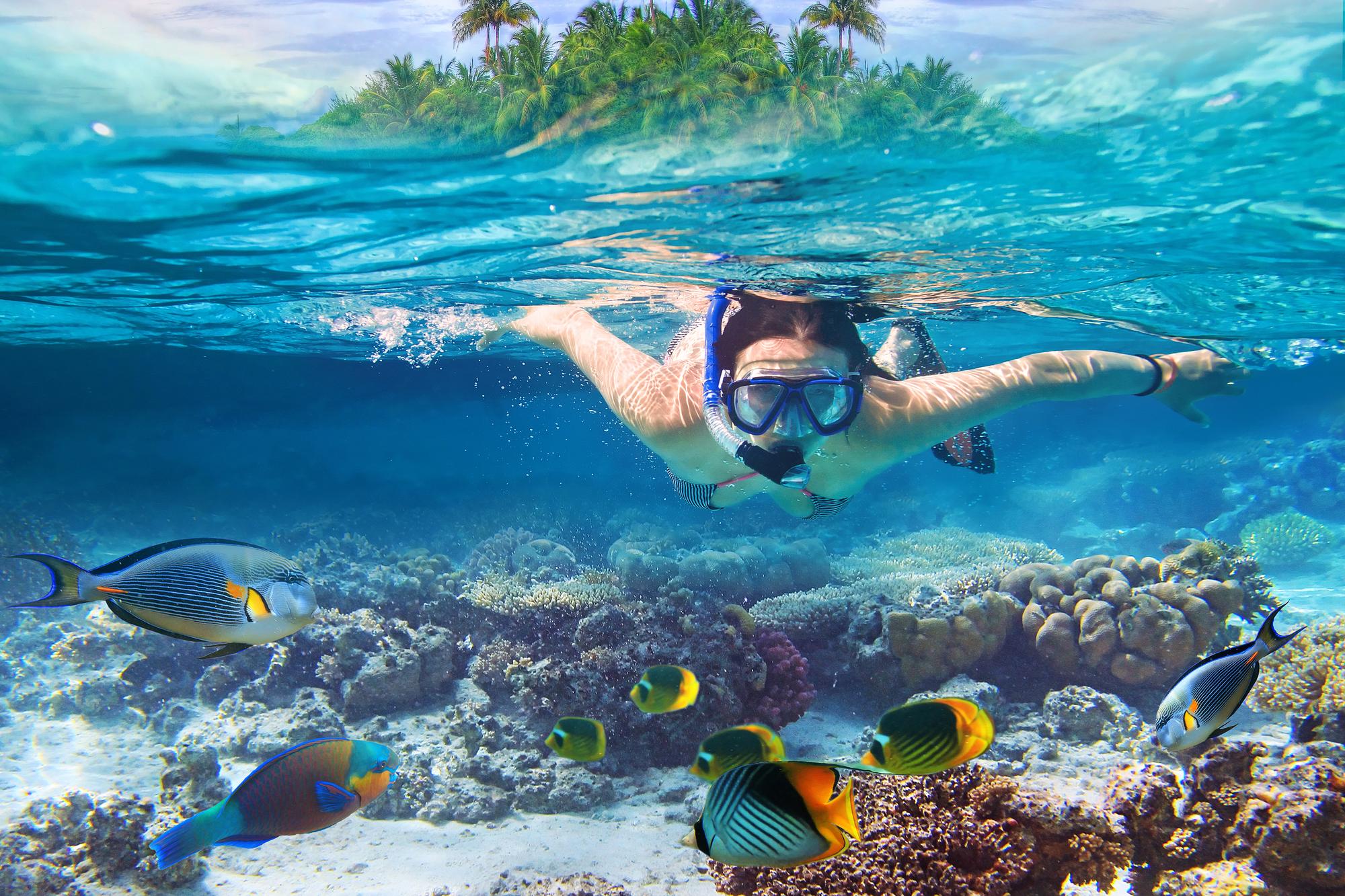 Enjoy a snorkeling adventure in the Maldives with clear waters, coral reefs, and a vibrant underwater world. | Coral, Clear, Goggles, Female, Snorkeling, Underwater, Vacation | Fraser