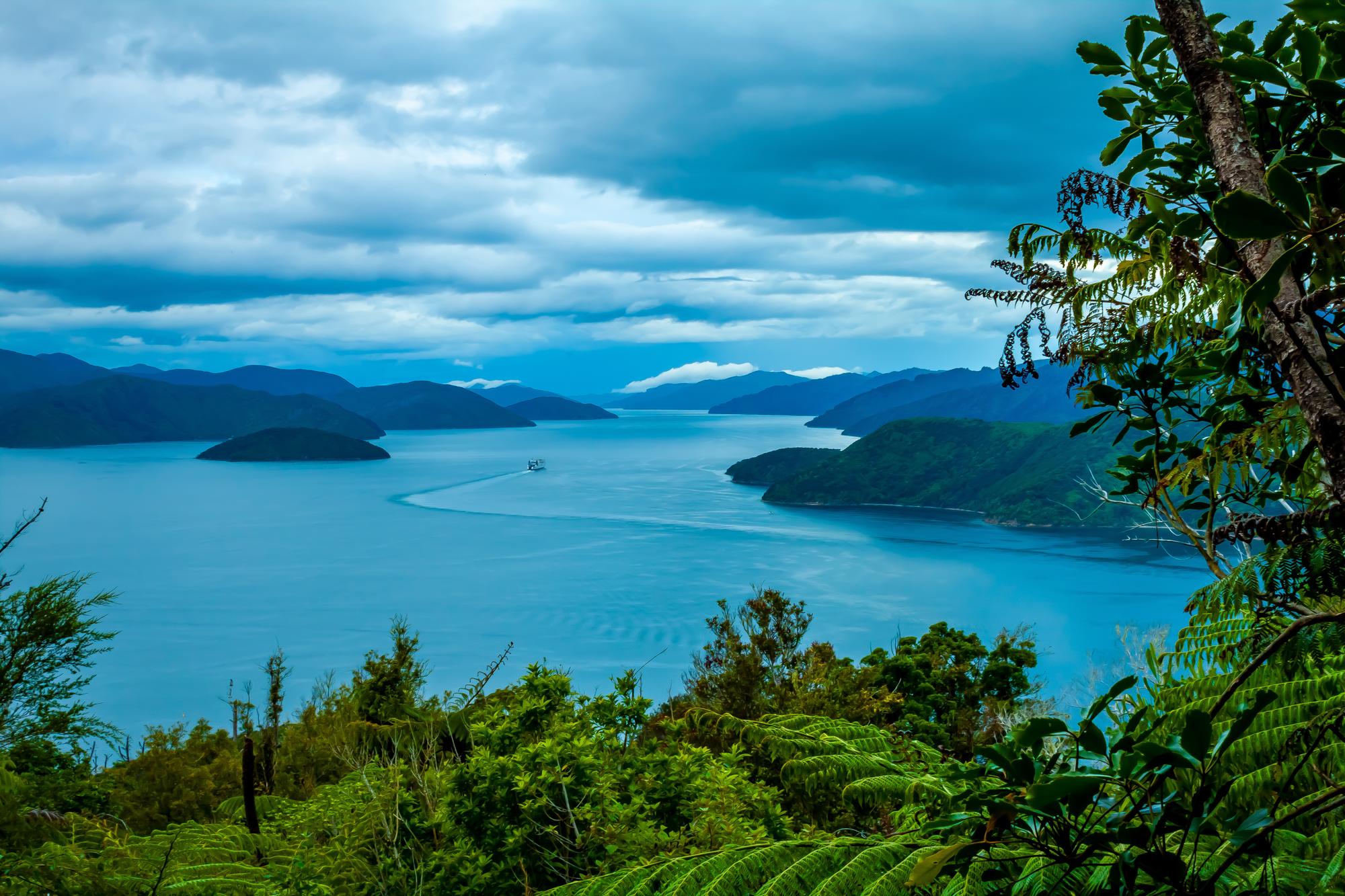 Enjoy the view of Marlborough’s bay with beautiful mountains, lush nature, and a picturesque landscape | Bay, Mountain, Nature, Landscape, Tree, View | Fraser