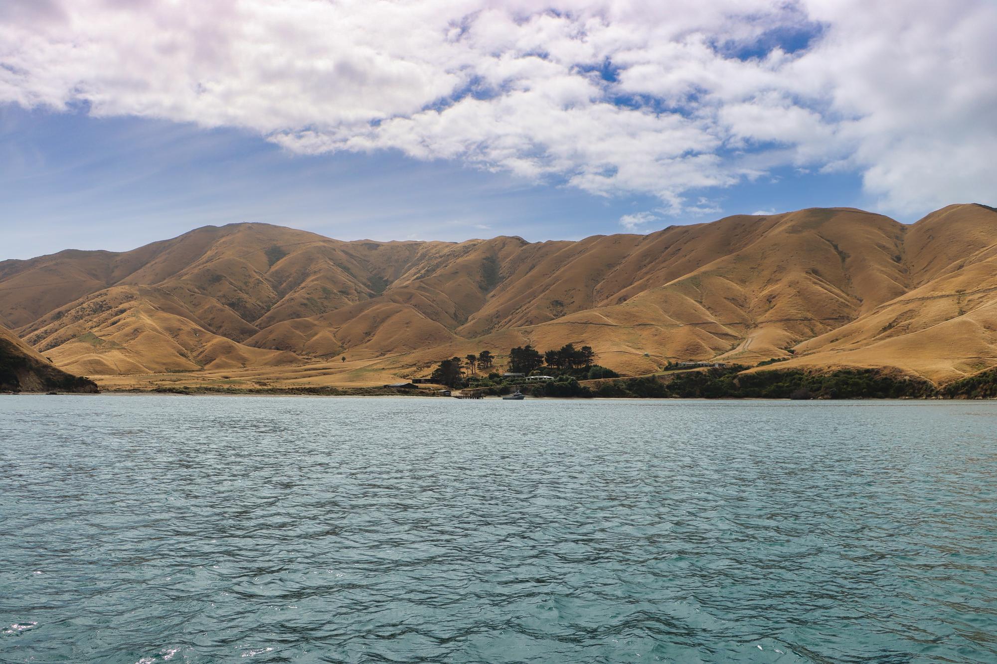 Picton in Marlborough: Nature’s beauty with grassy hills and blue skies | Grass, Nature, Blue, Hill, View, Tourism | Fraser