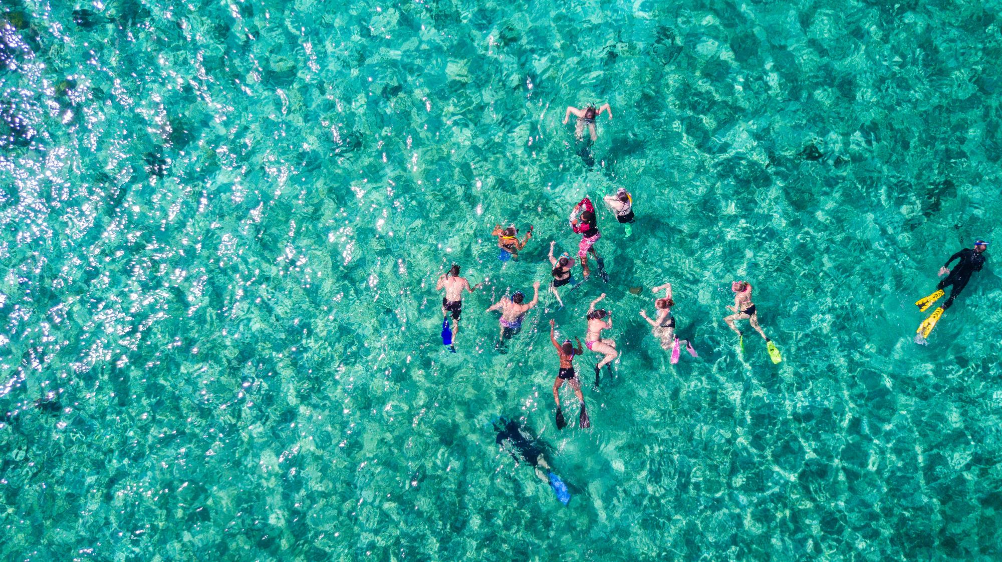  Dive into the vibrant underwater world of Tulum with aerial views of the ocean, perfect for snorkelling and swimming | Snorkelling, Ocean, Nature, Tulum, Swim | Fraser