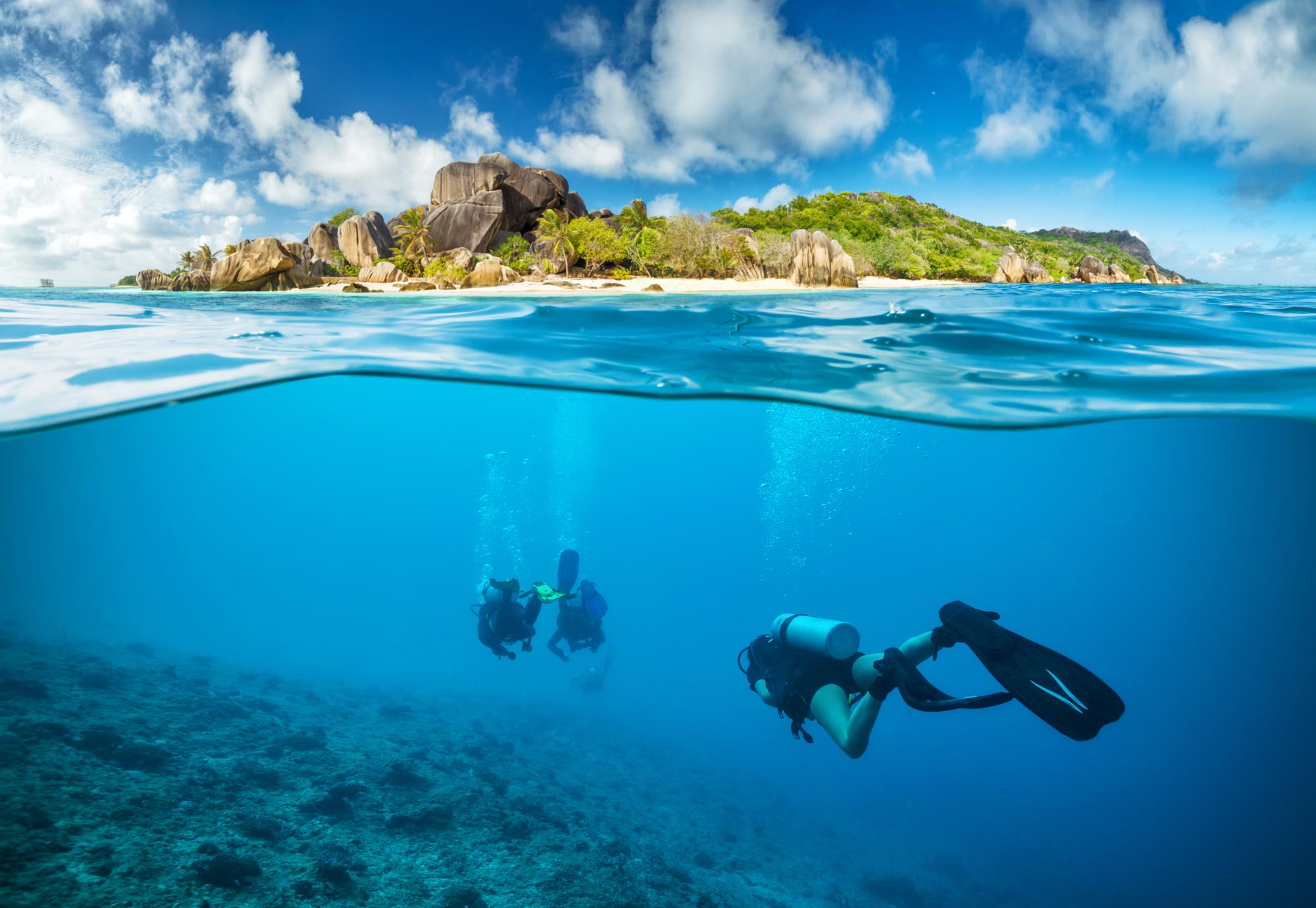 Dive into the underwater world of Seychelles to explore its diverse reefs and aquatic life. | Aquatic, Biodiversity, Explore, Reef, Scuba, Underwater, Seychelles | Fraser