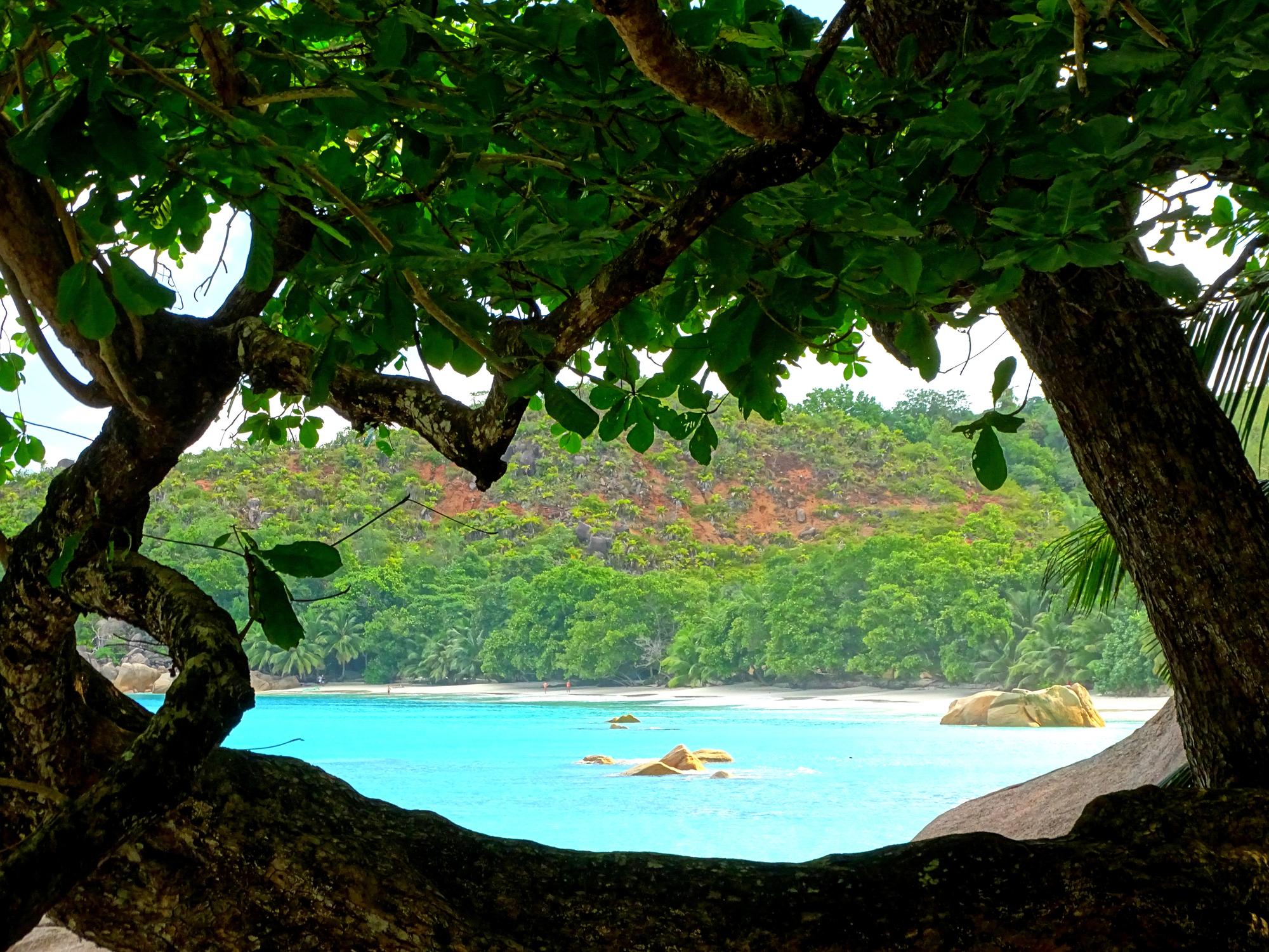  Experience the colorful beauty of nature and water views on Praslin Island. | Praslin, View, Water, Nature, Colorful, Seychelles | Fraser