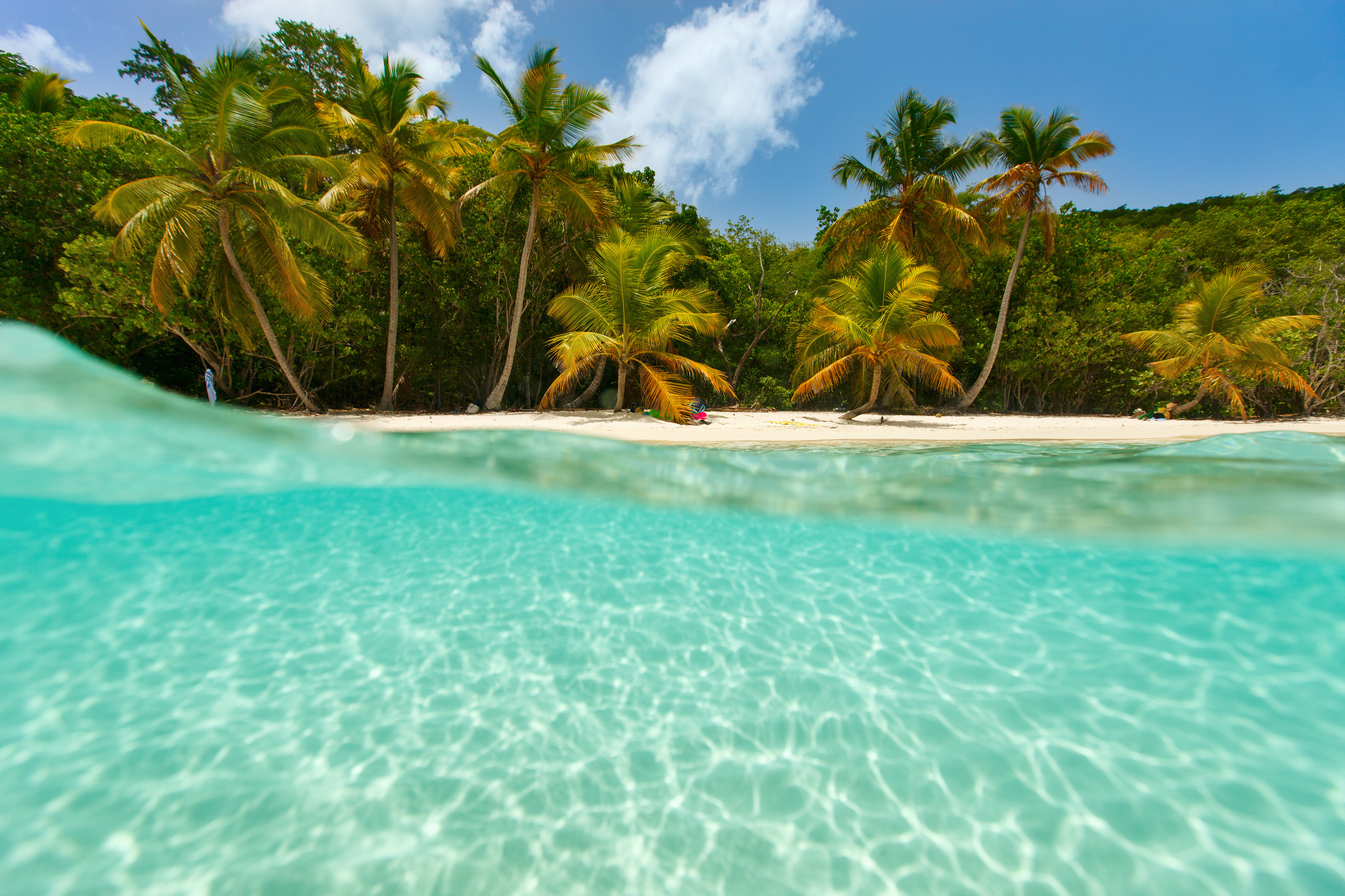 Idyllic tropical beach in the Caribbean—white sand, swaying palms, and turquoise waters set the scene for luxury yacht charters and relaxed island escapes | Fraser Yachts