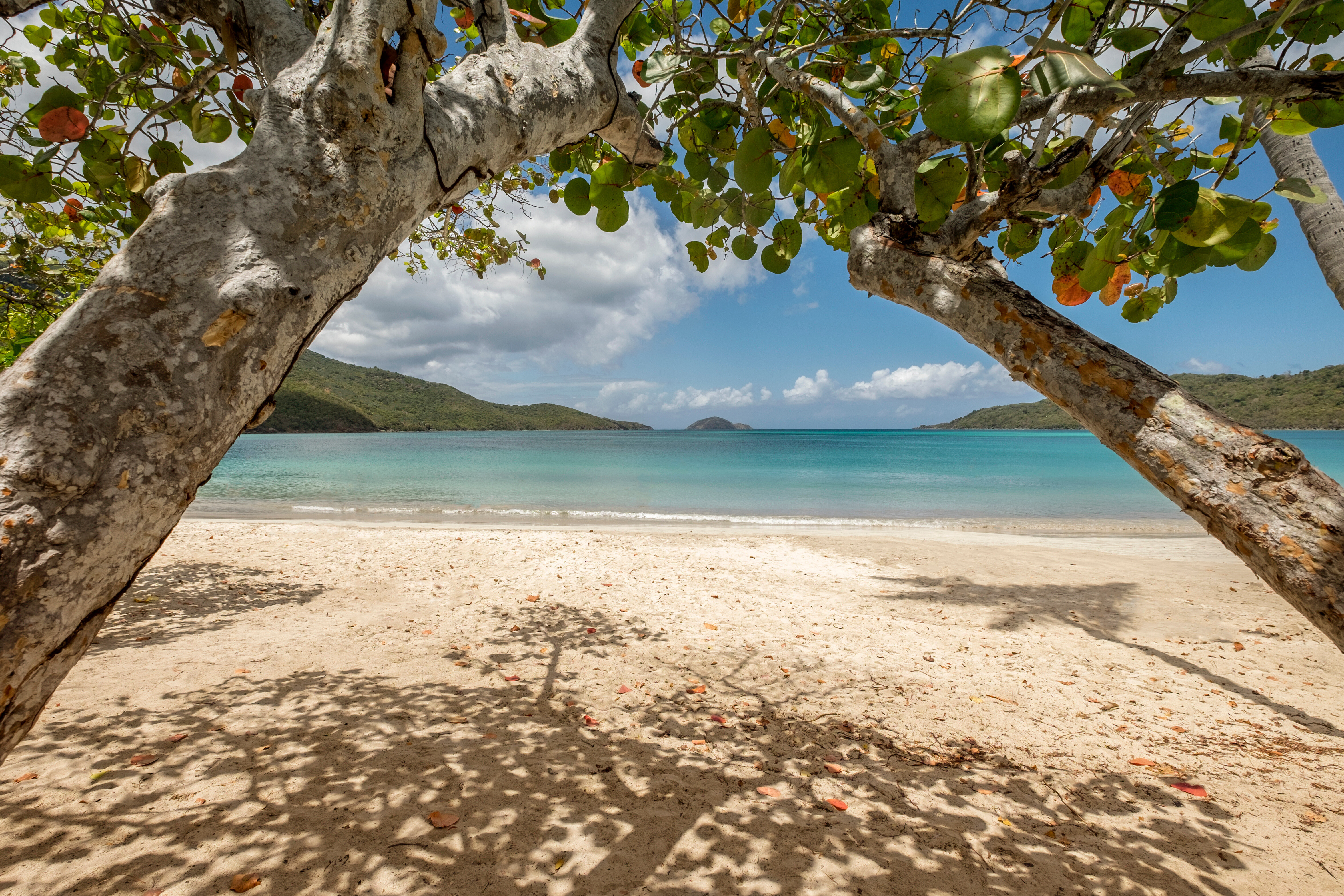 Magens Bay Beach on St. Thomas, US Virgin Islands—white sands and turquoise waters surrounded by lush hills, a must-visit stop on luxury Caribbean yacht itineraries | Fraser