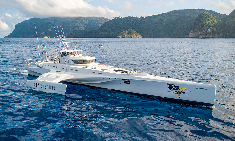 M/v BRIGITTE BARDOT Joins The Fraser Sales Fleet | Fraser Yachts