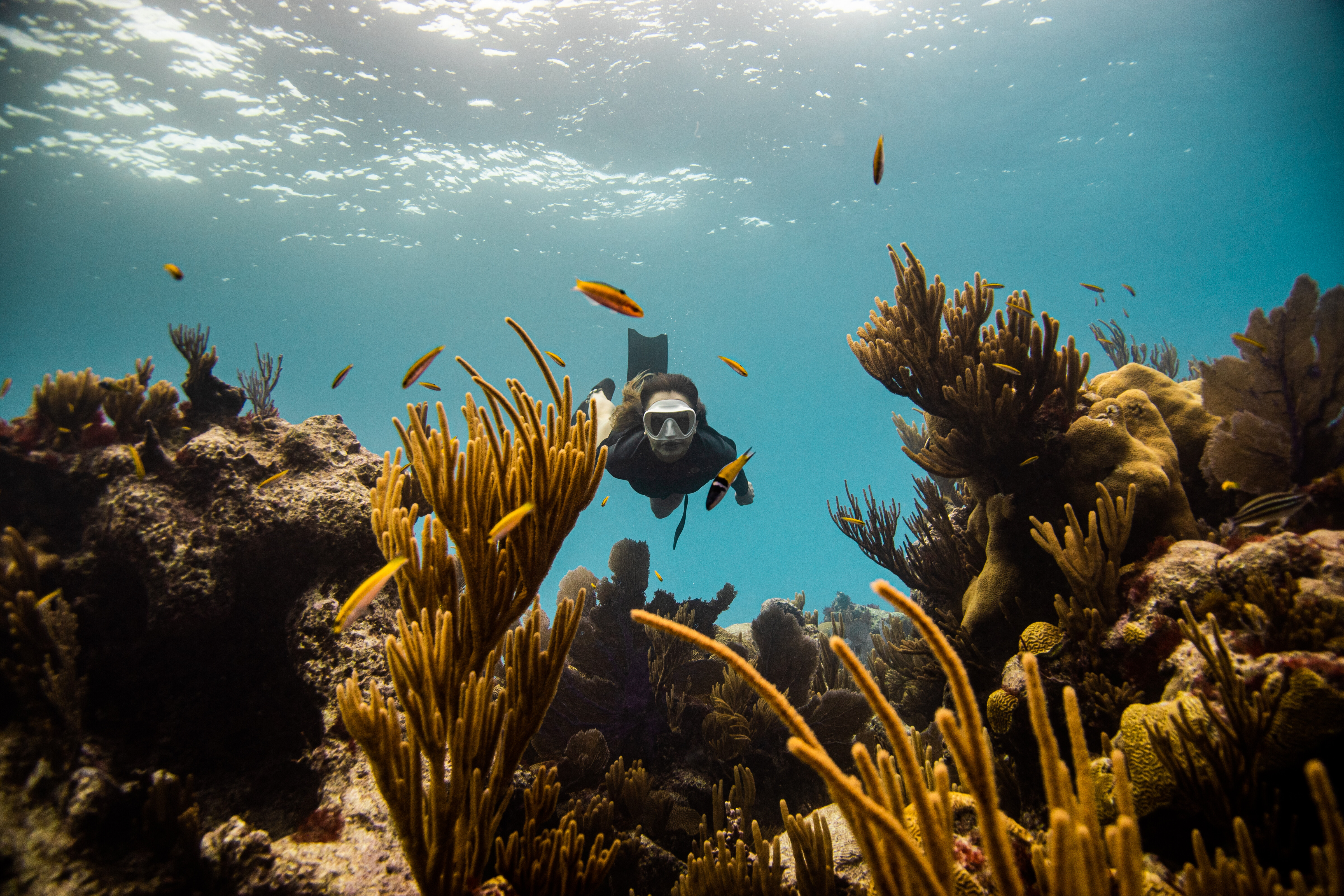 Dive Month-SsoYOK9R.jpg